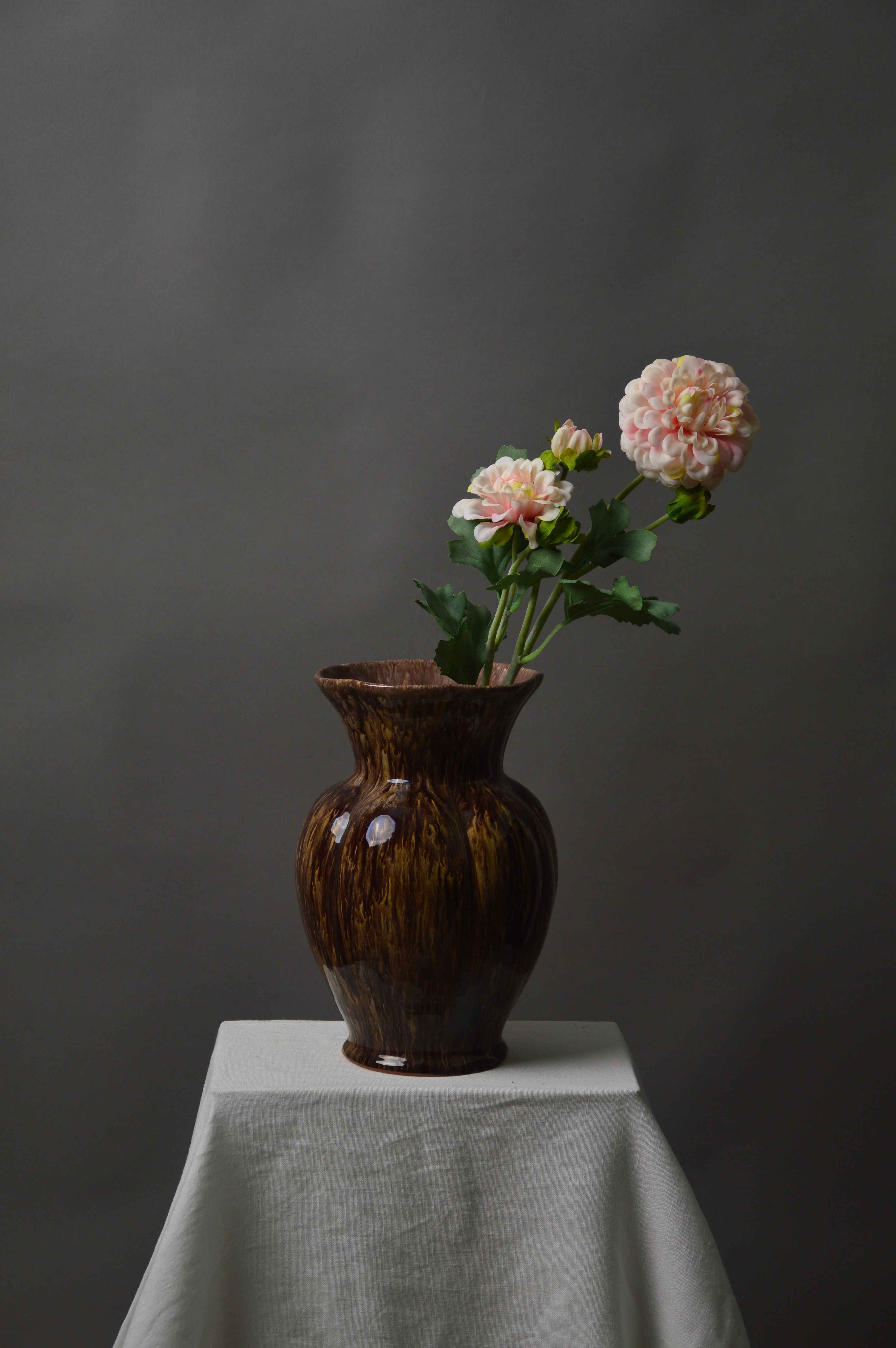 Zinnia
