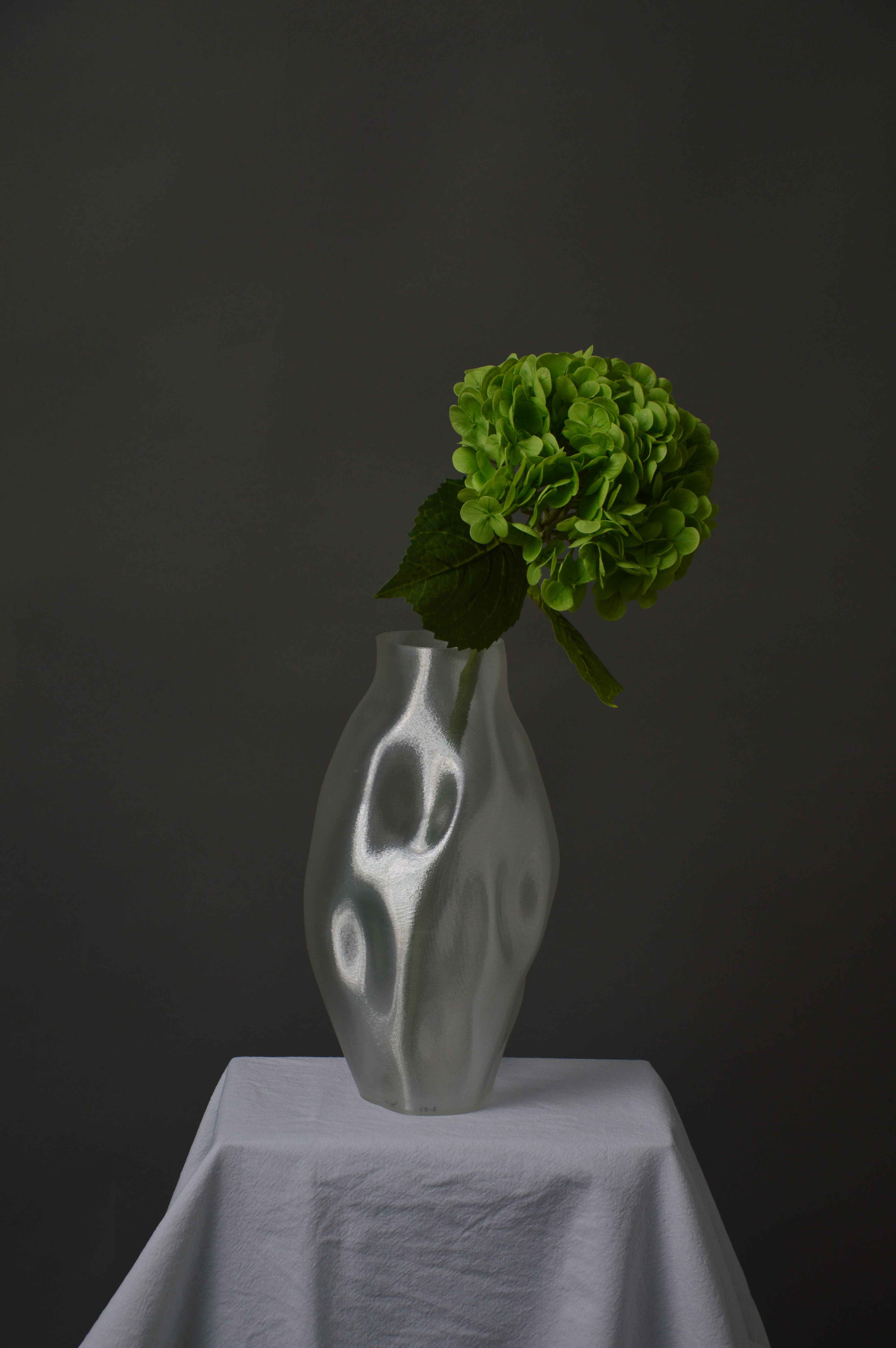 Hortensia
