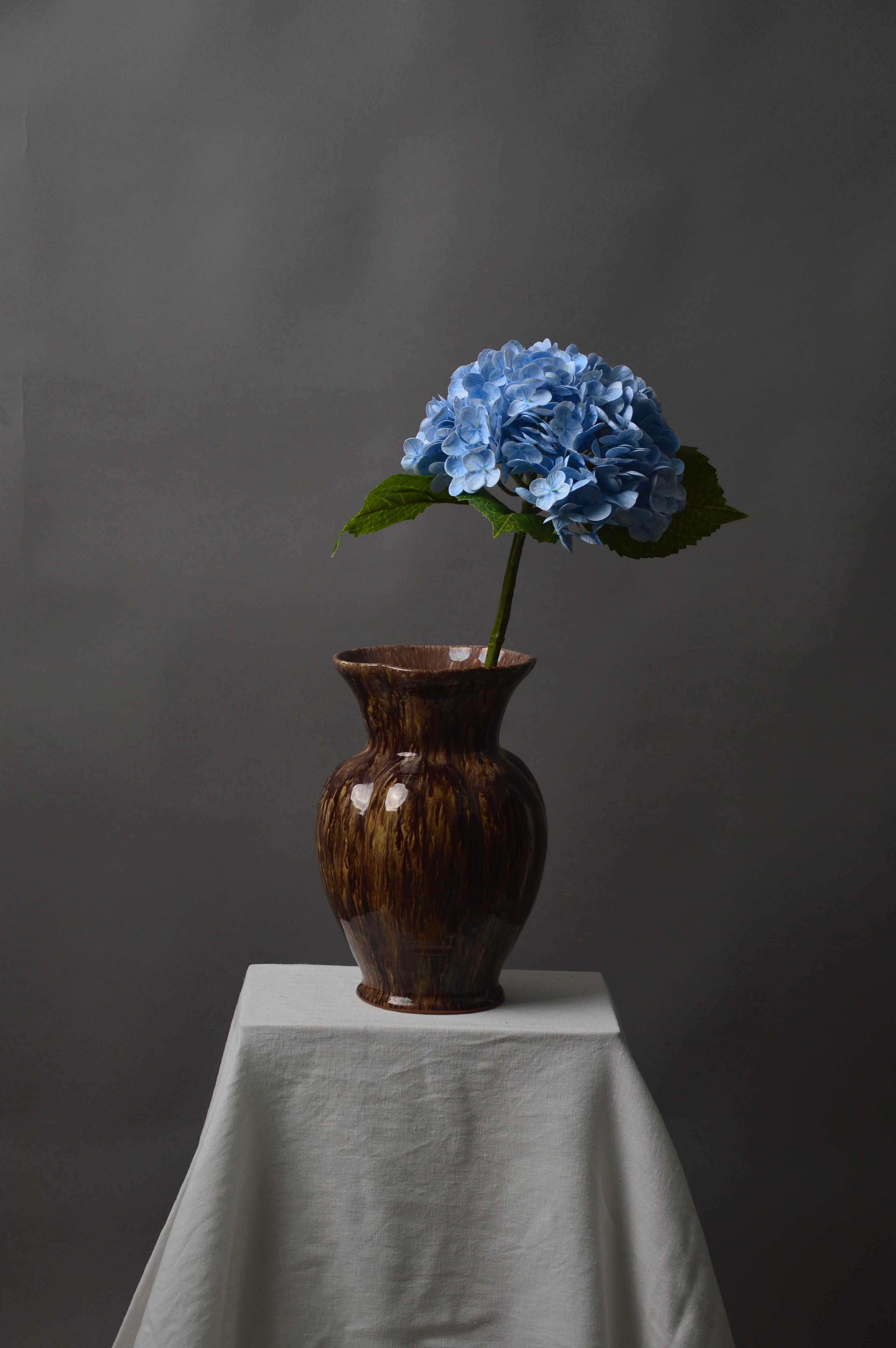 Hortensia