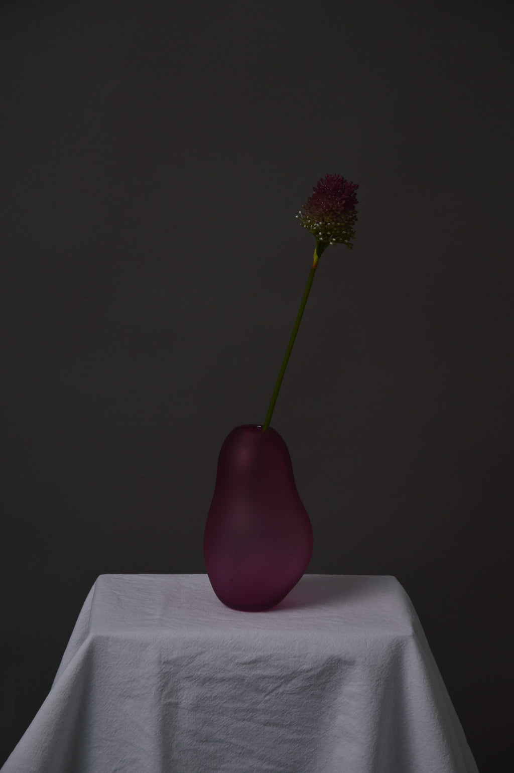 Allium