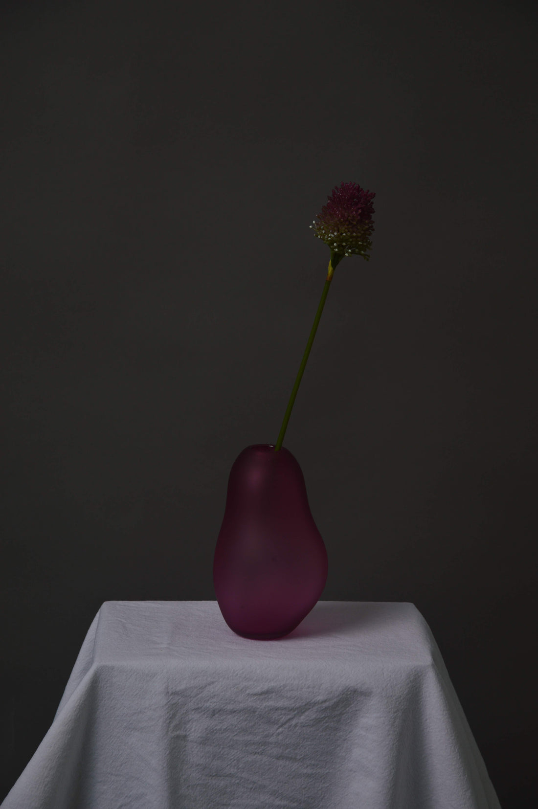 Allium