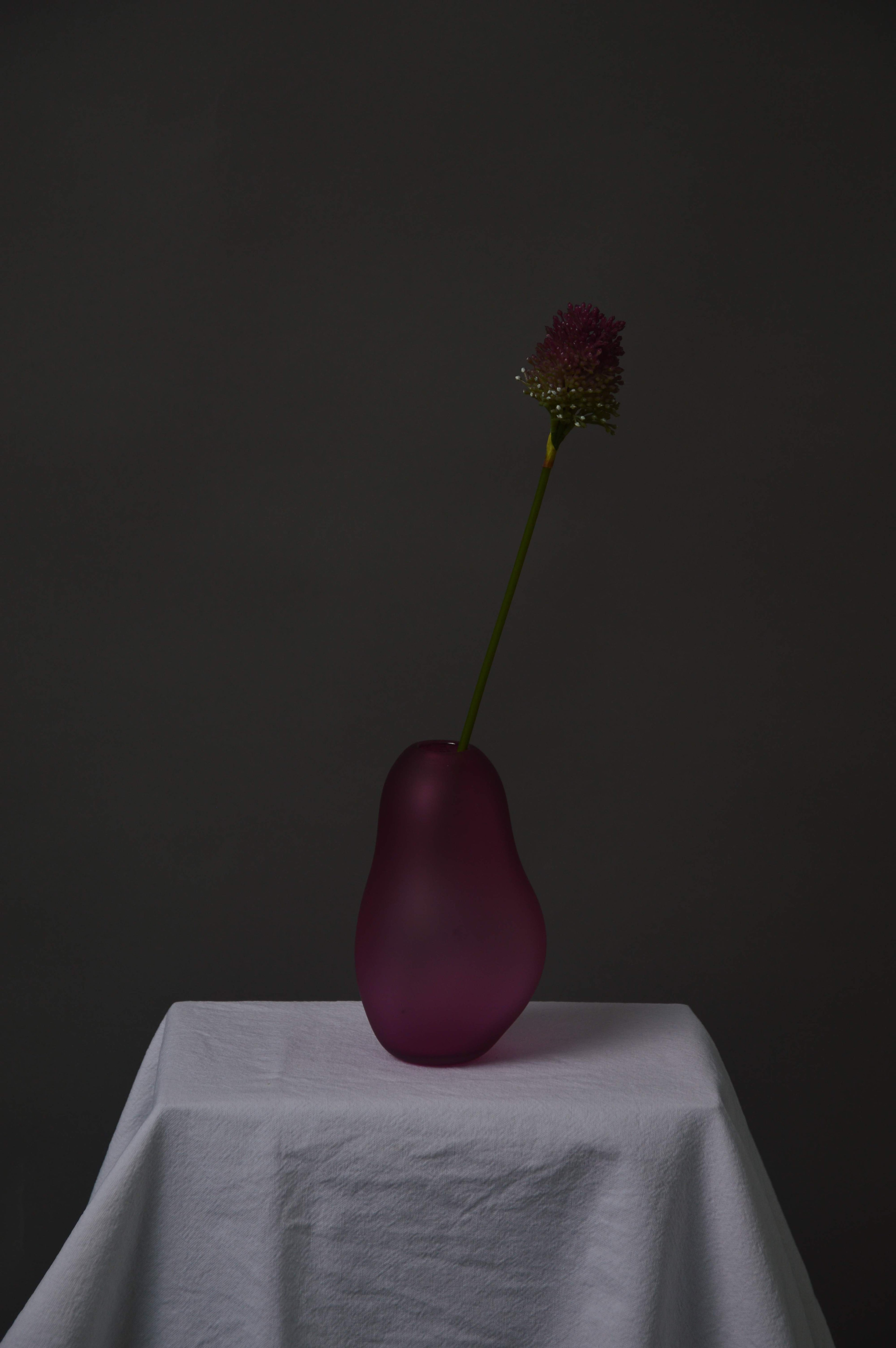 Allium