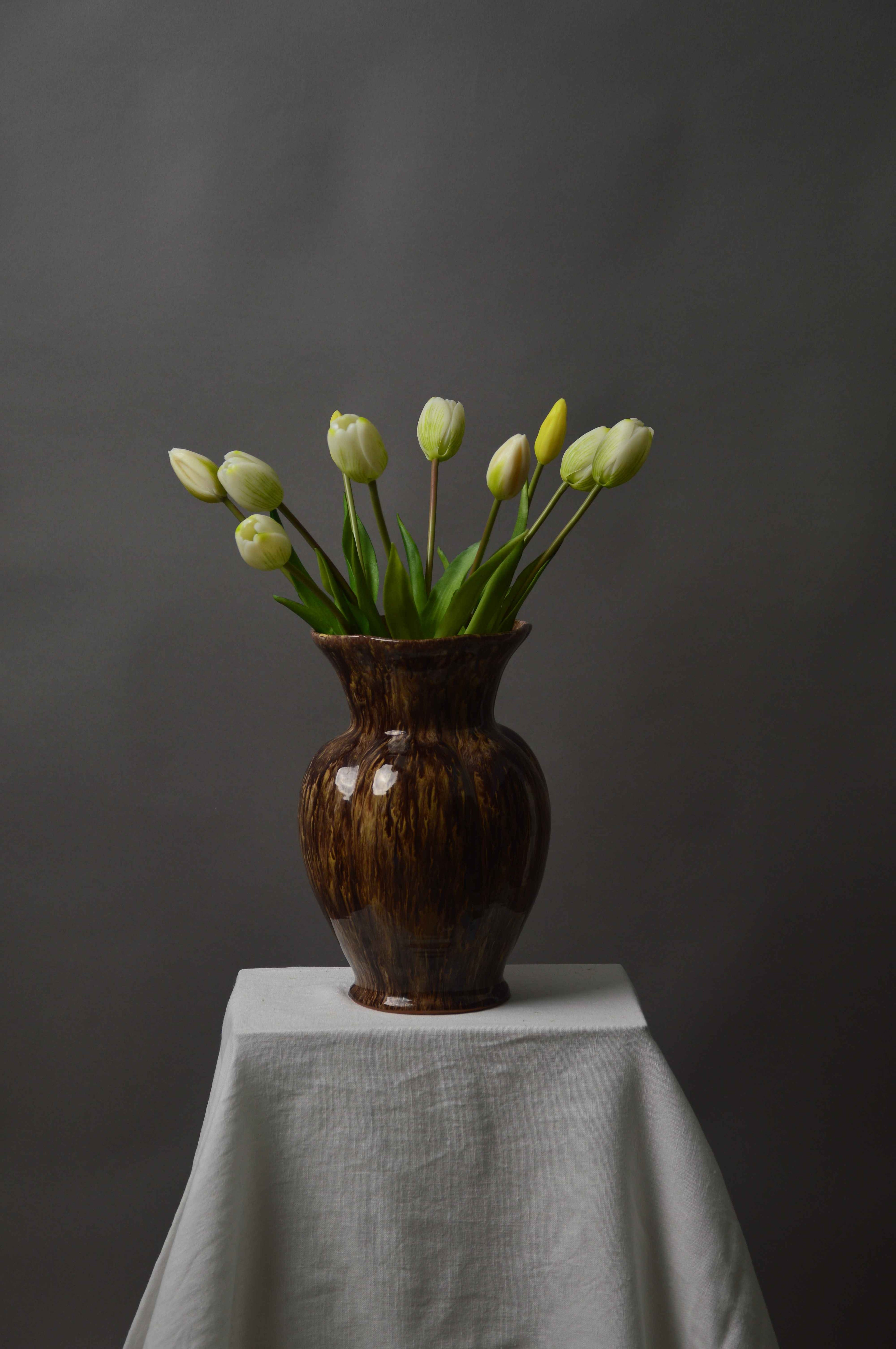 Tulipaner