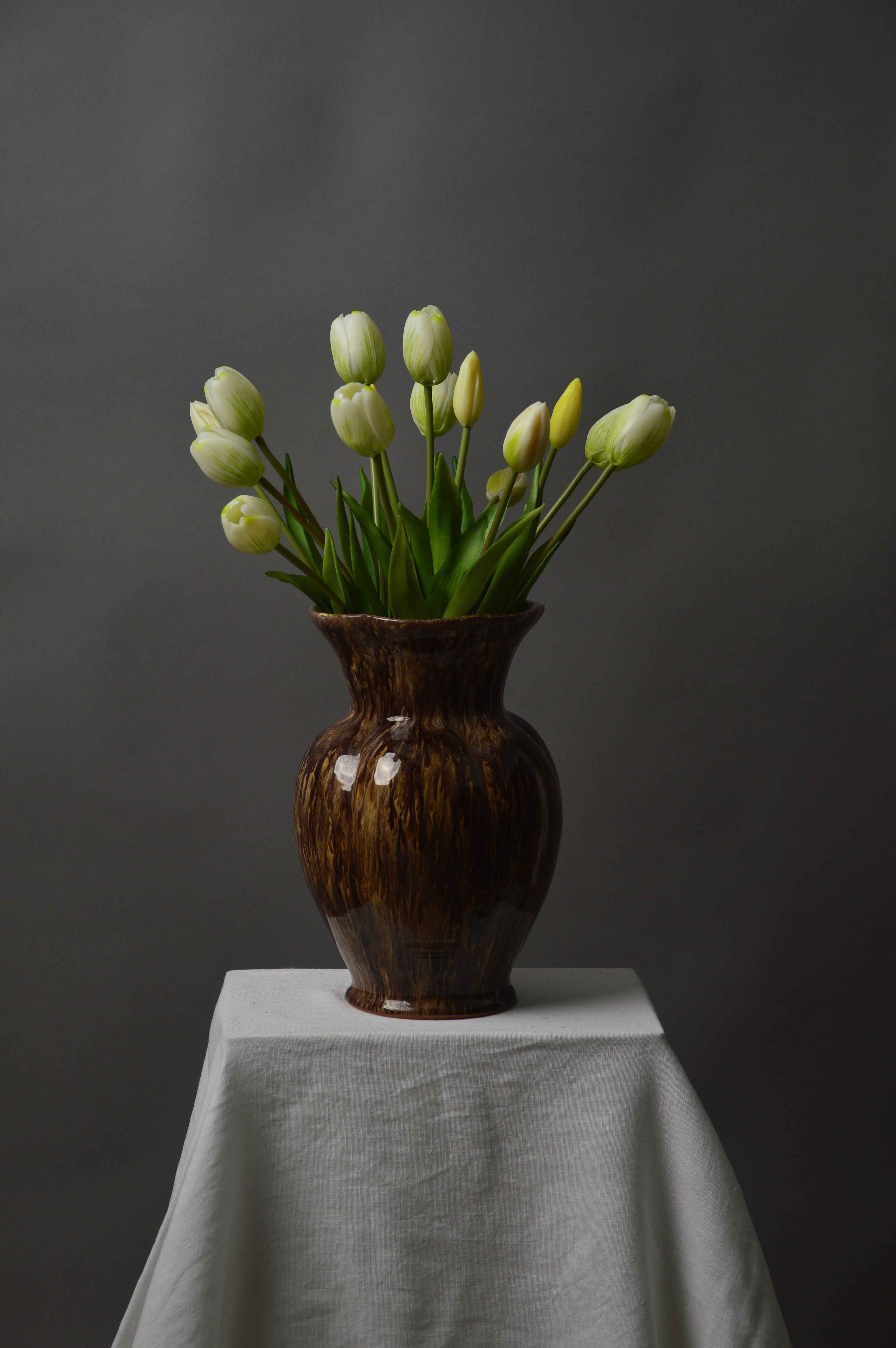 Tulipaner