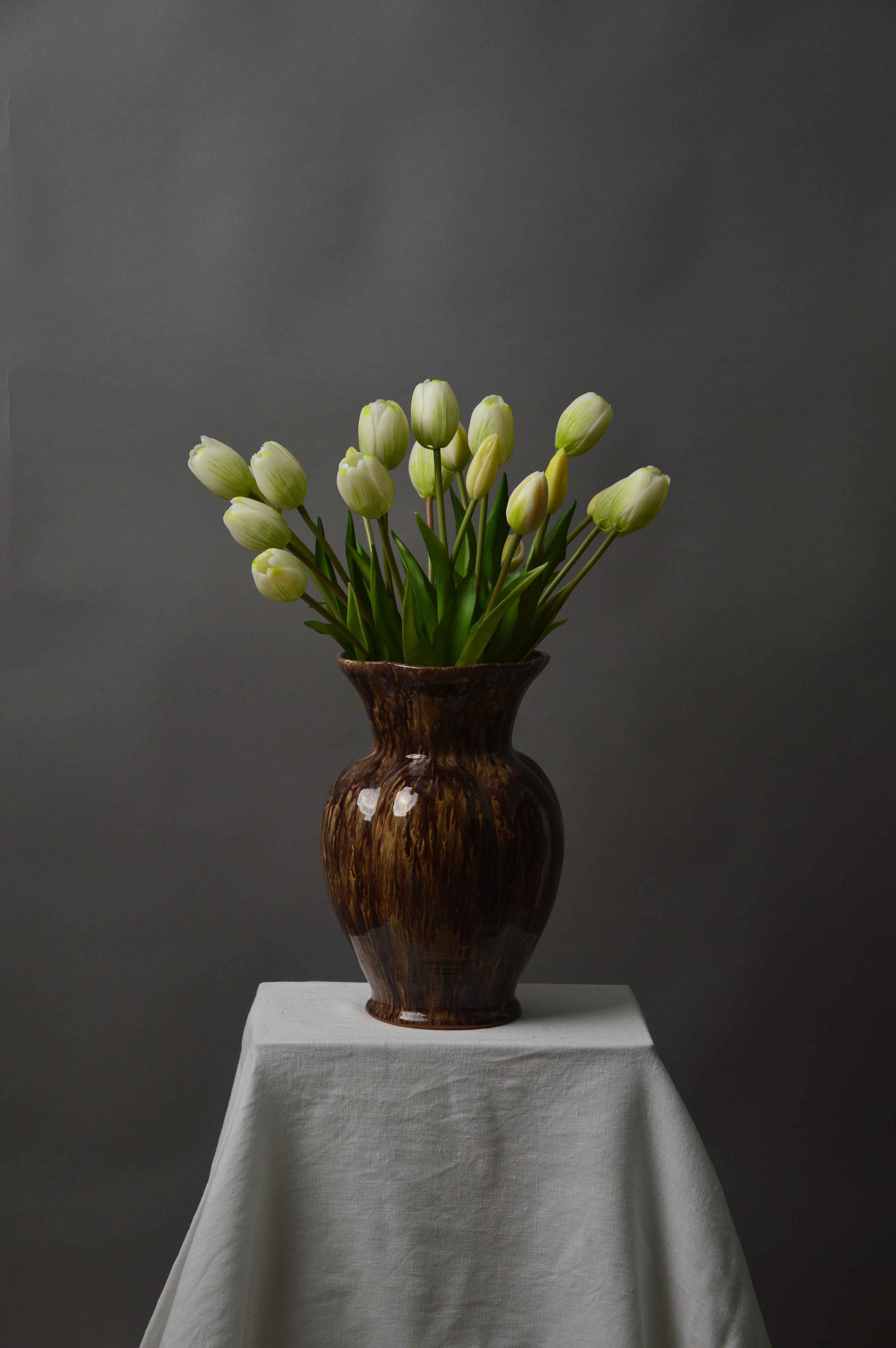 Tulipaner