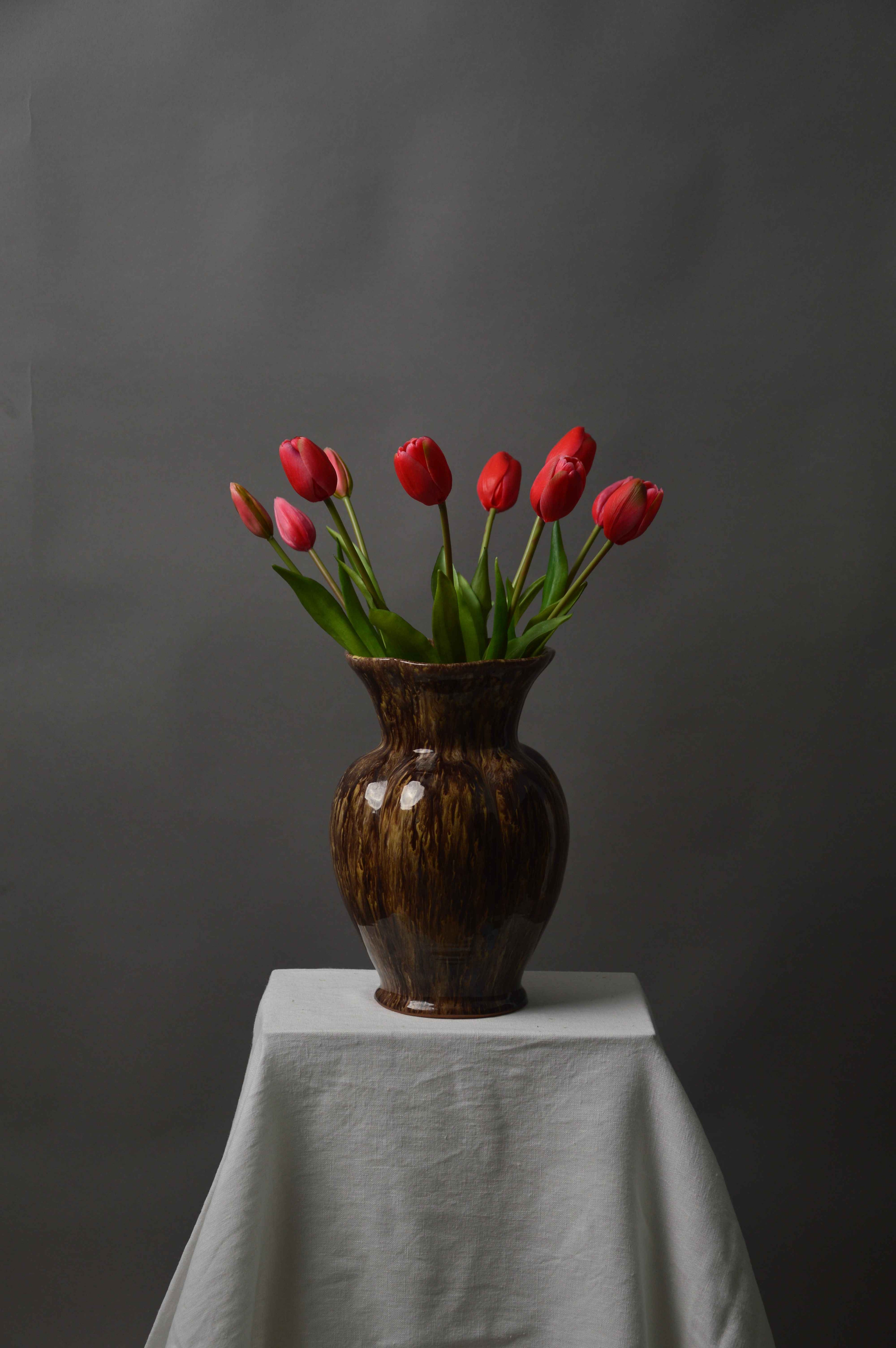 Tulipaner