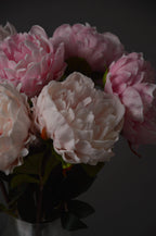 Pretty Peonies 2.0