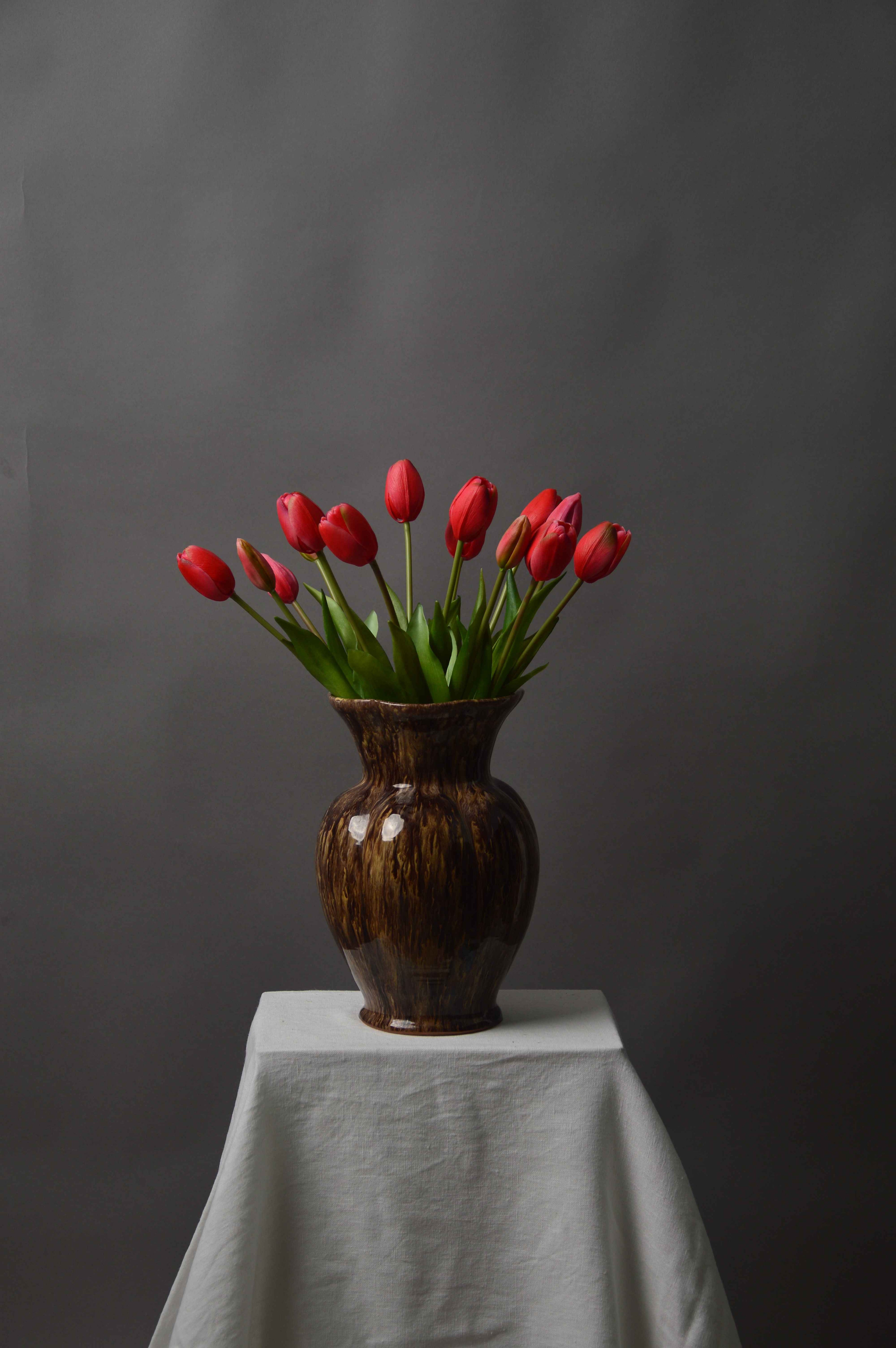 Tulipaner