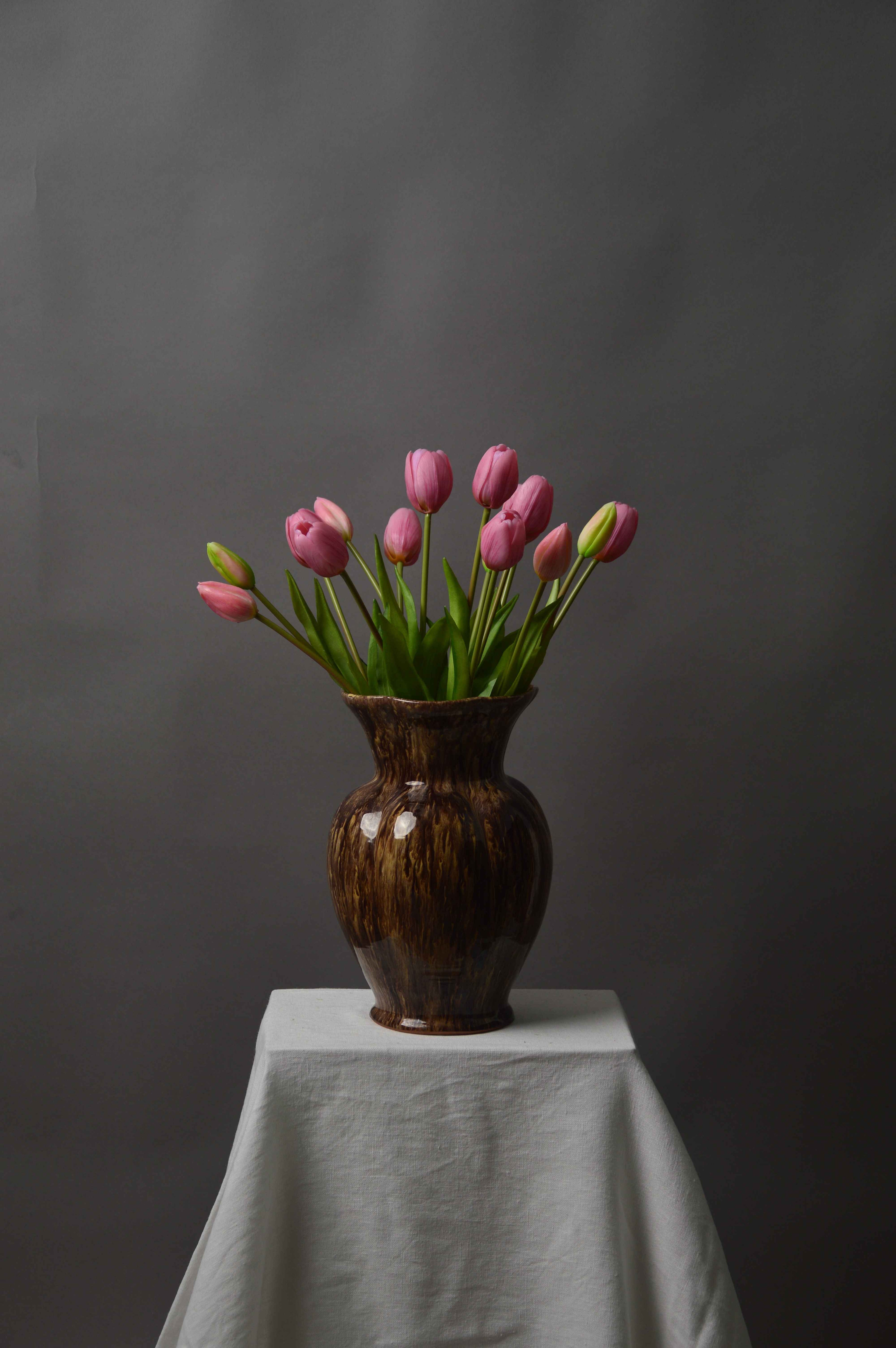 Tulipaner