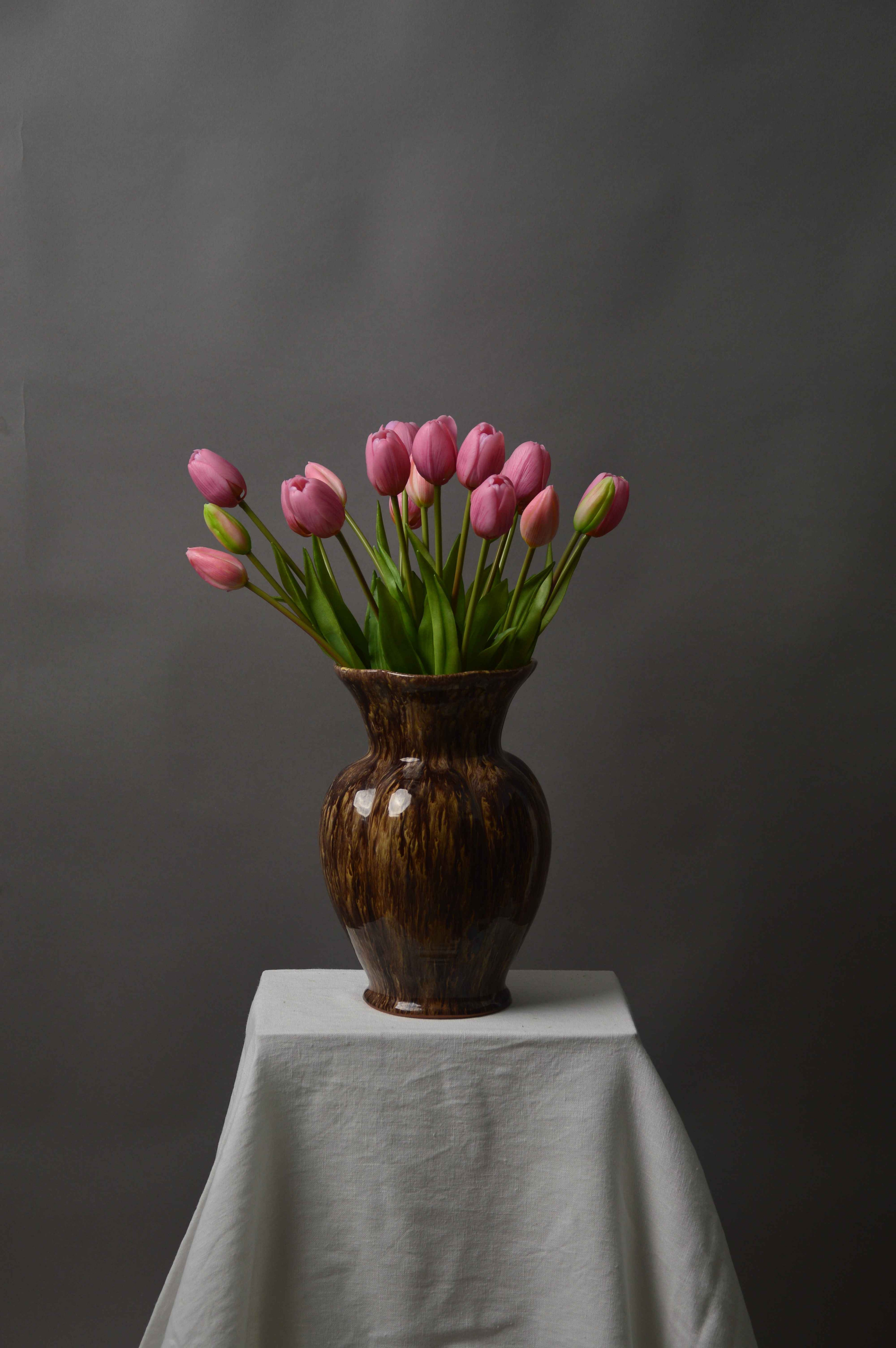 Tulipaner