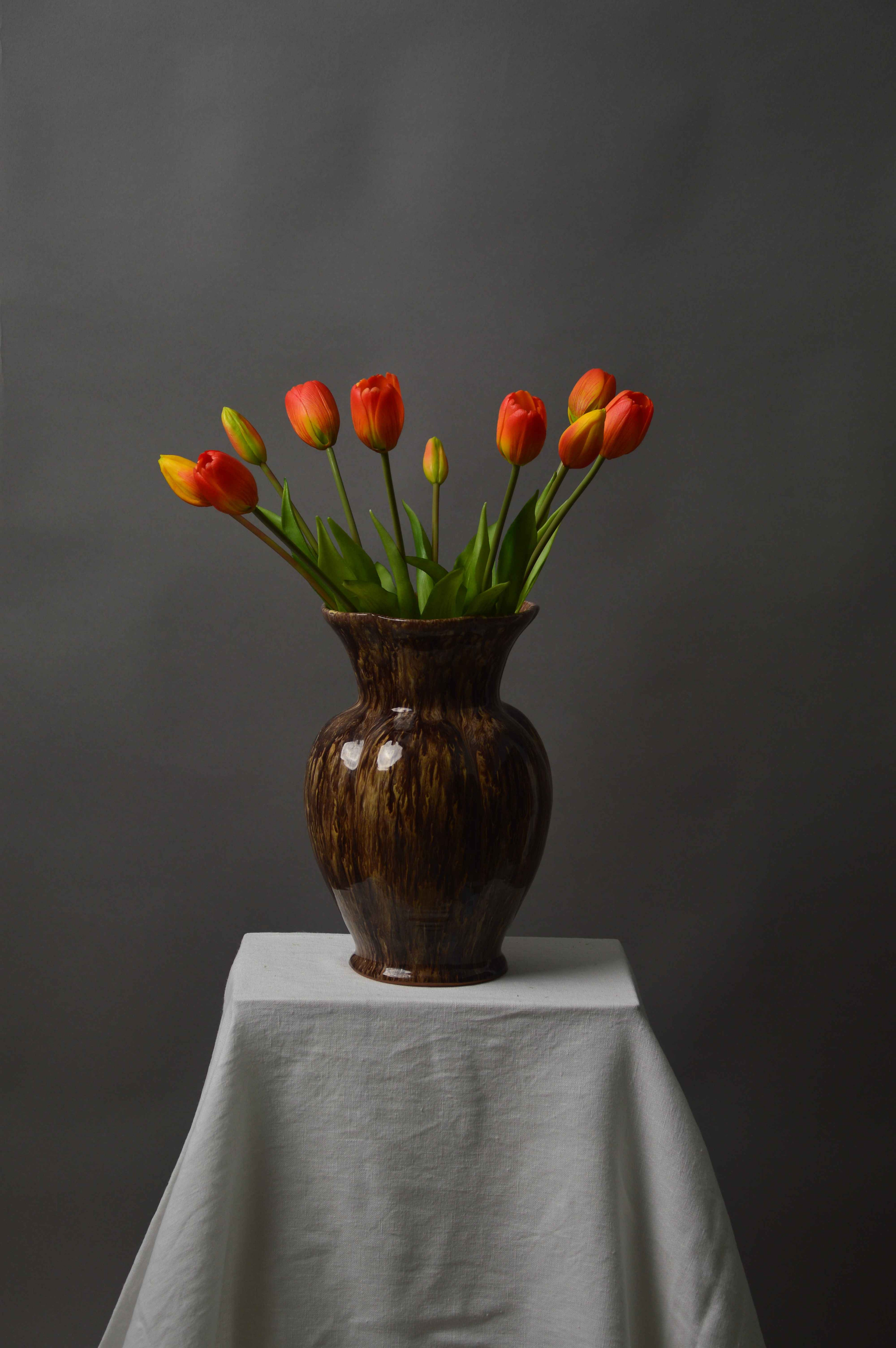 Tulipaner