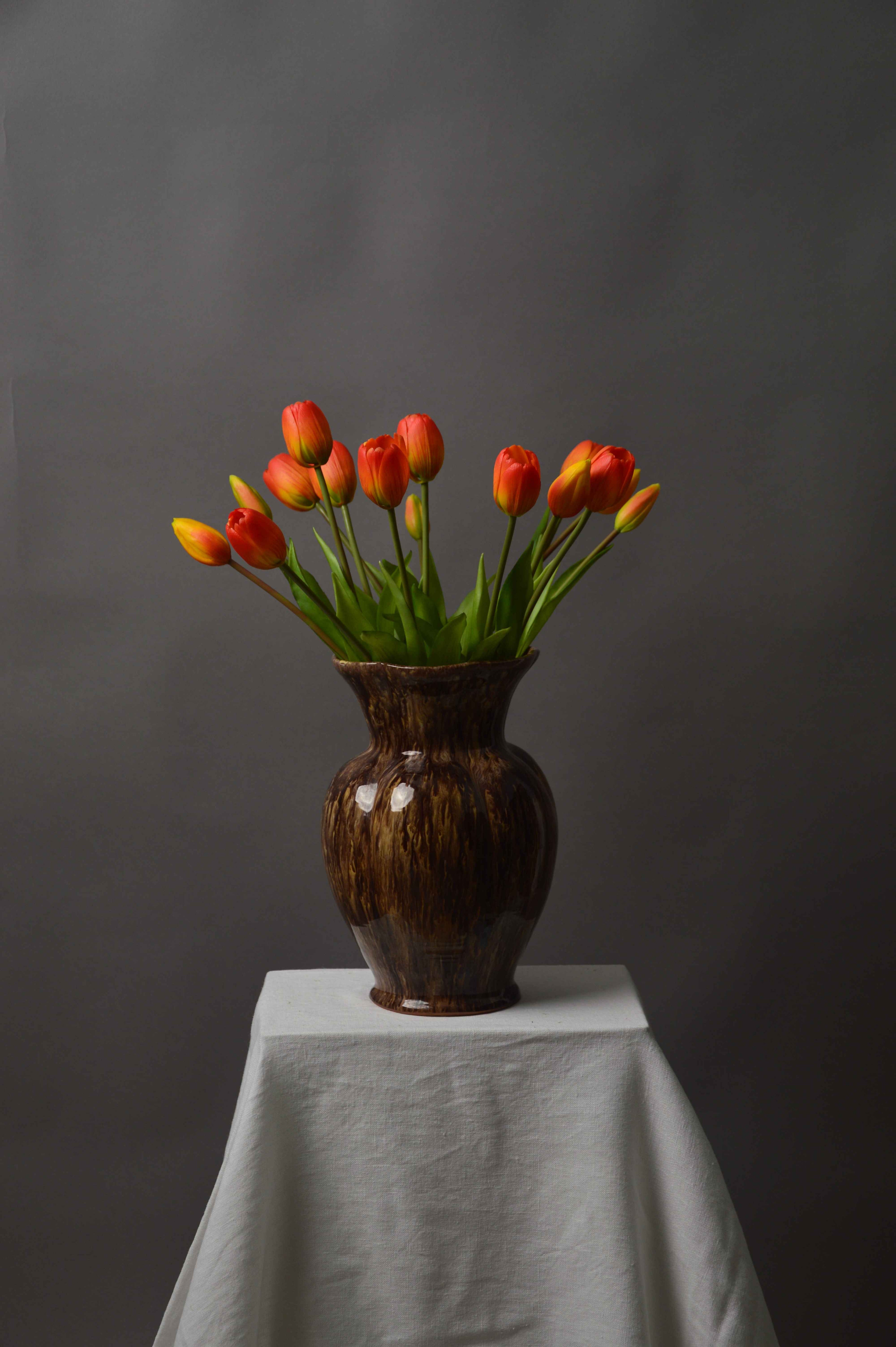 Tulipaner