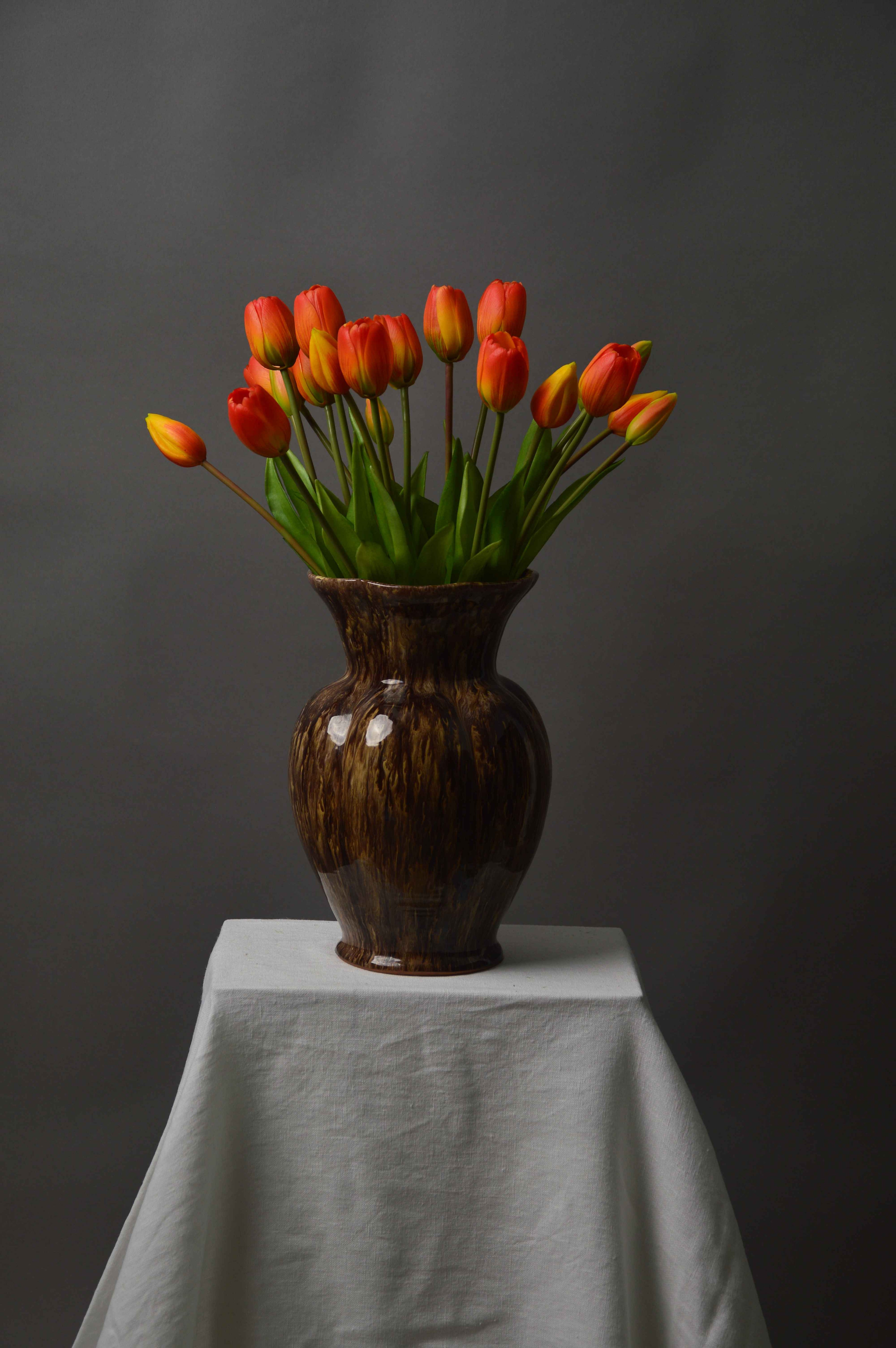 Tulipaner