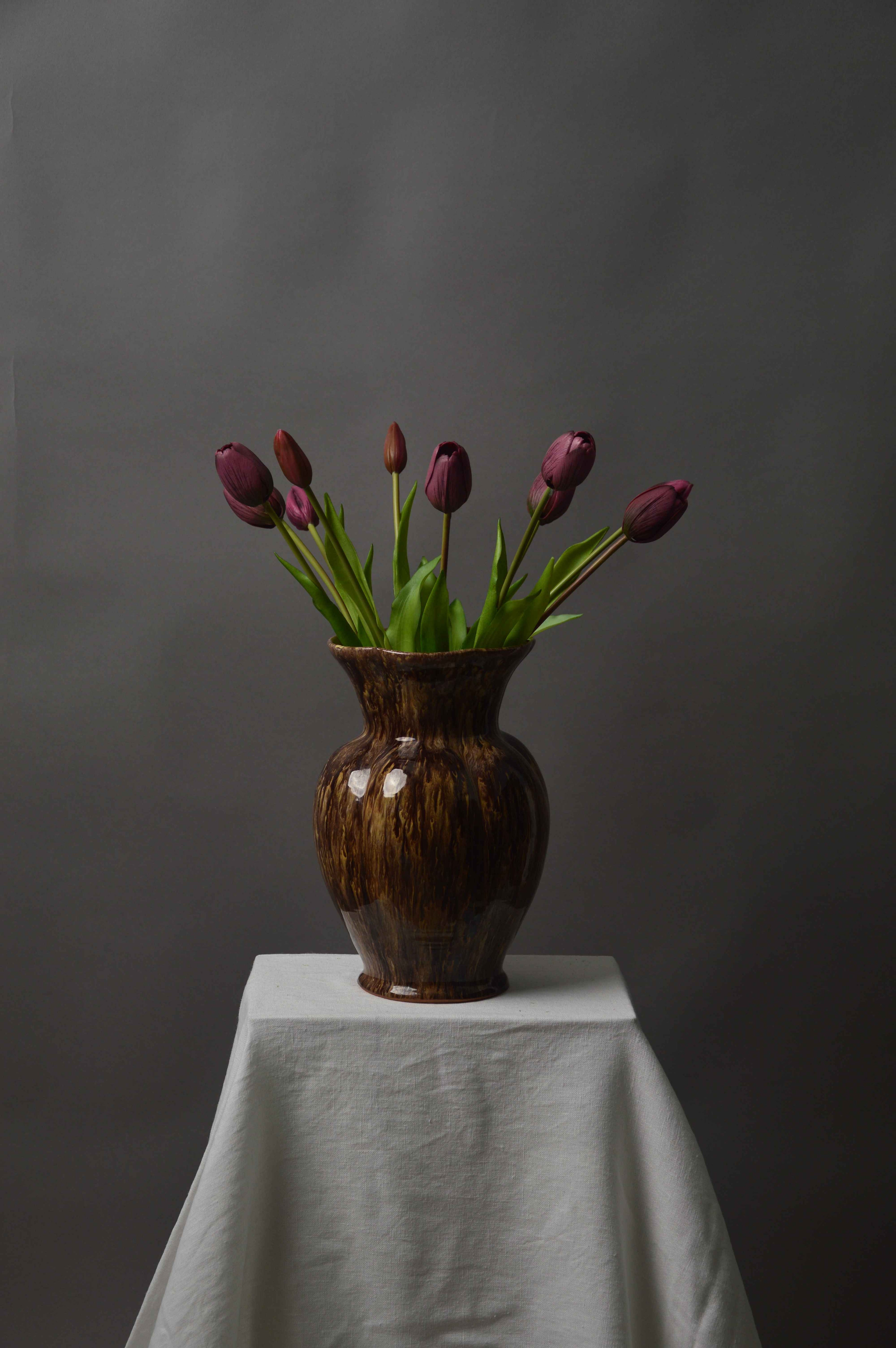 Tulipaner