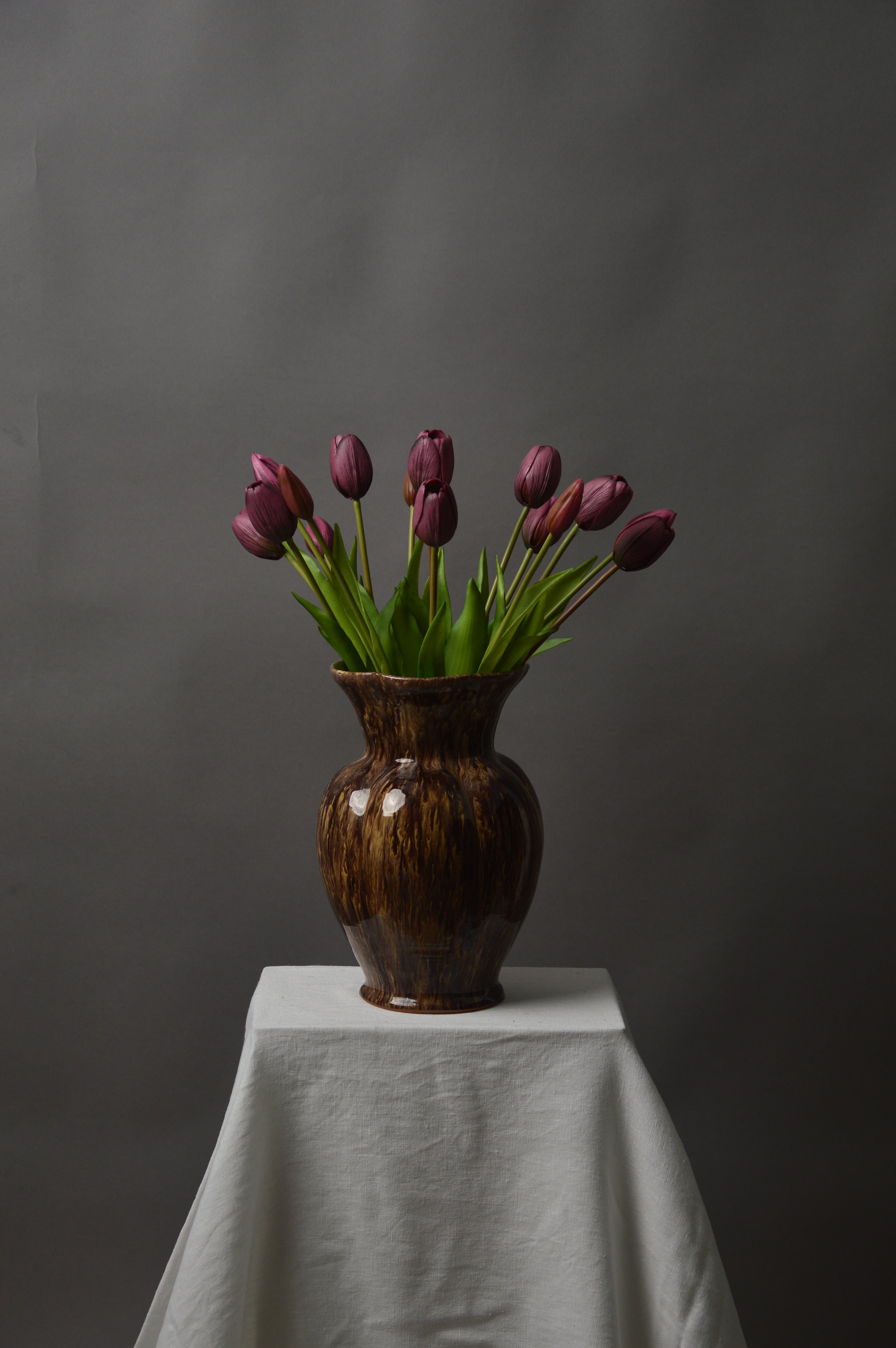 Tulipaner