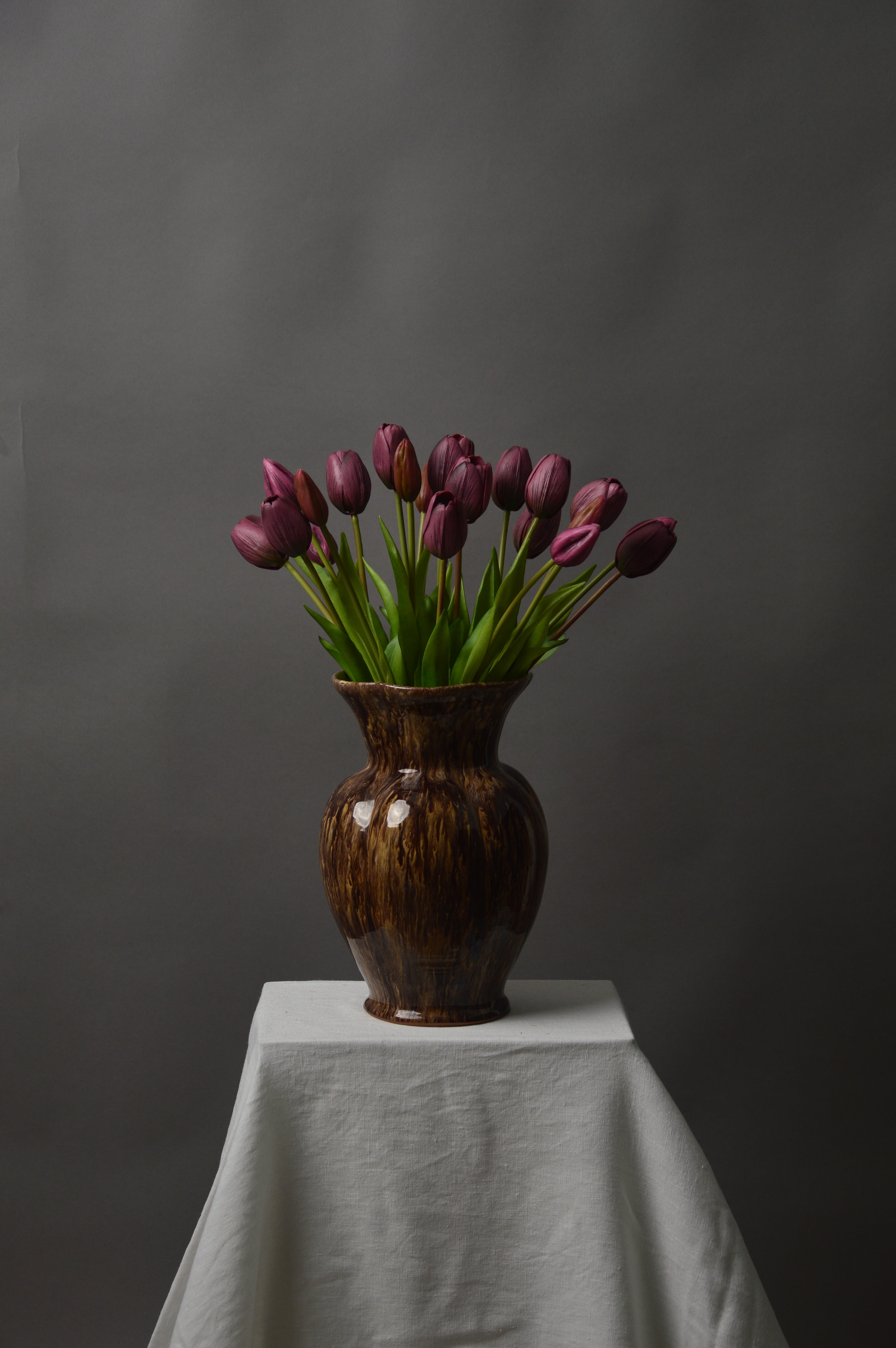 Tulipaner