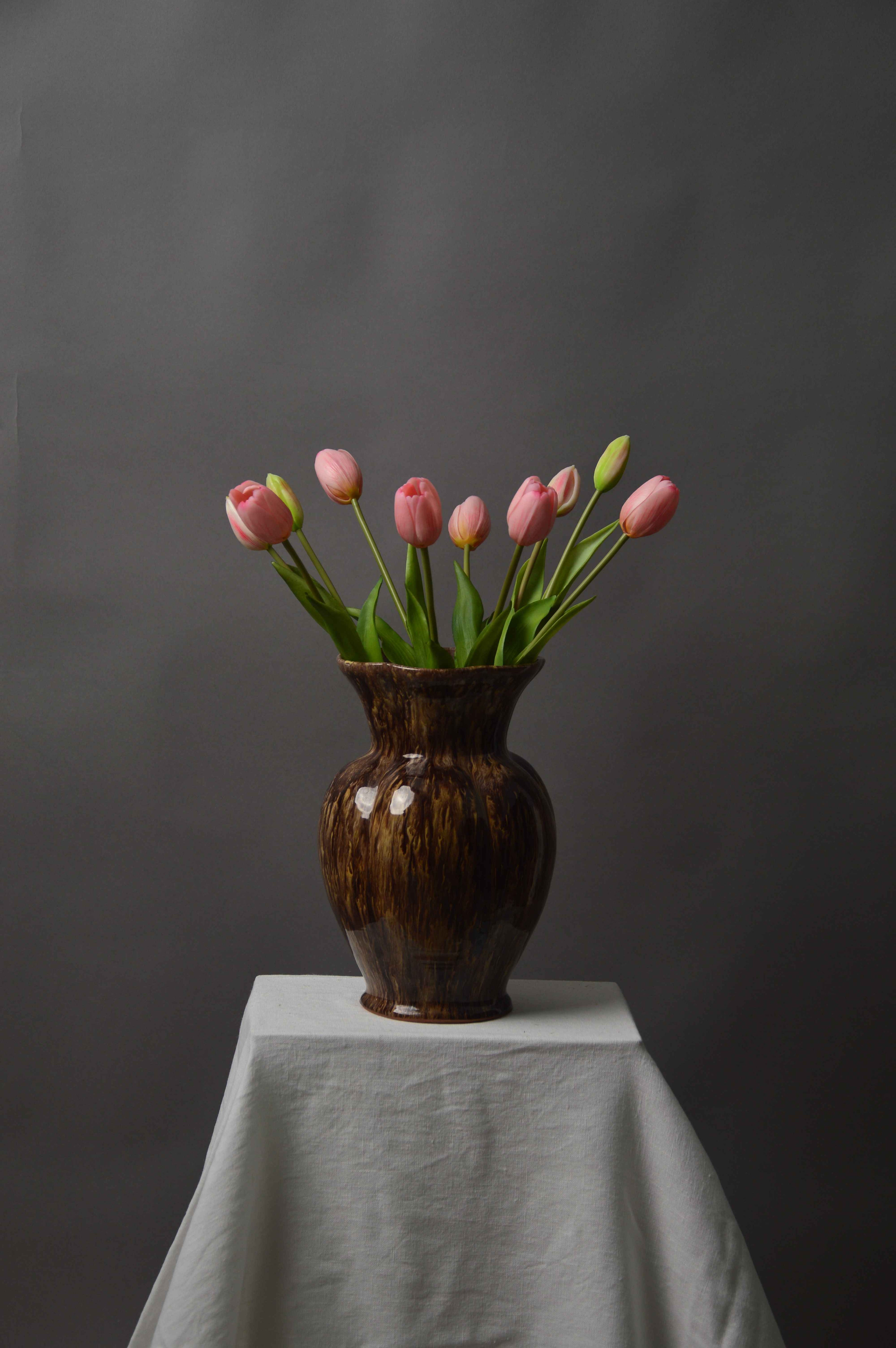 Tulipaner
