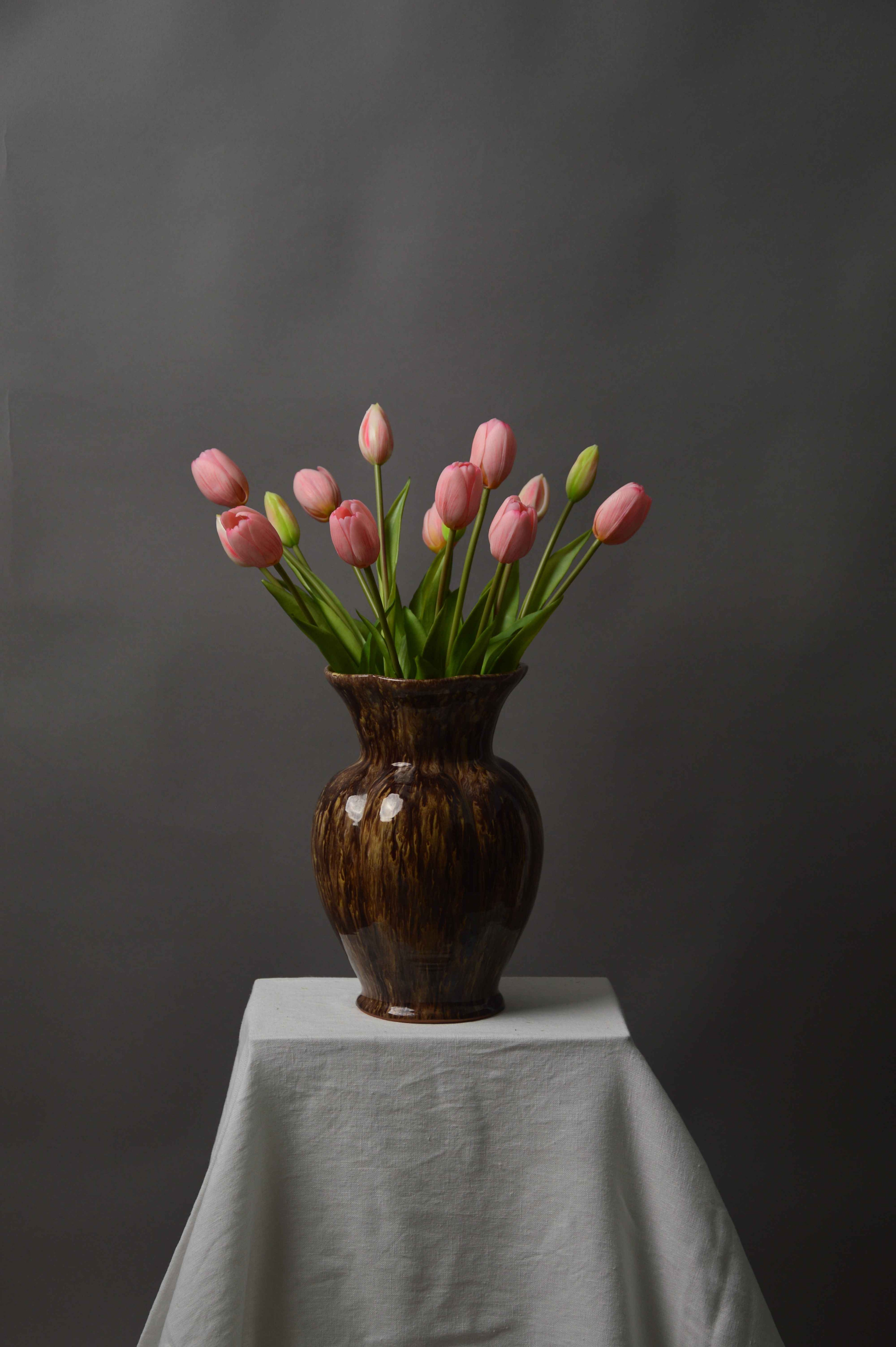 Tulipaner