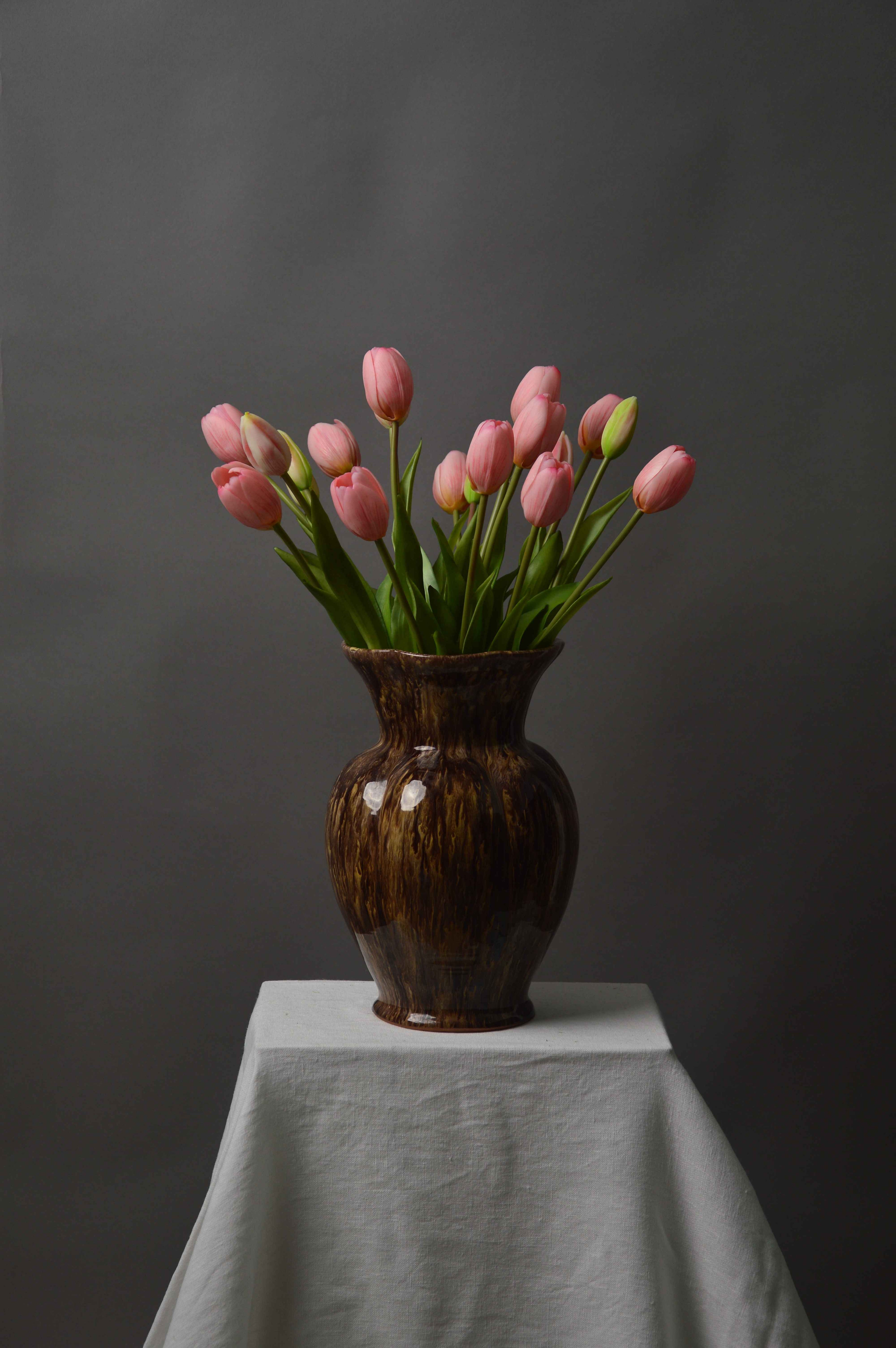 Tulipaner