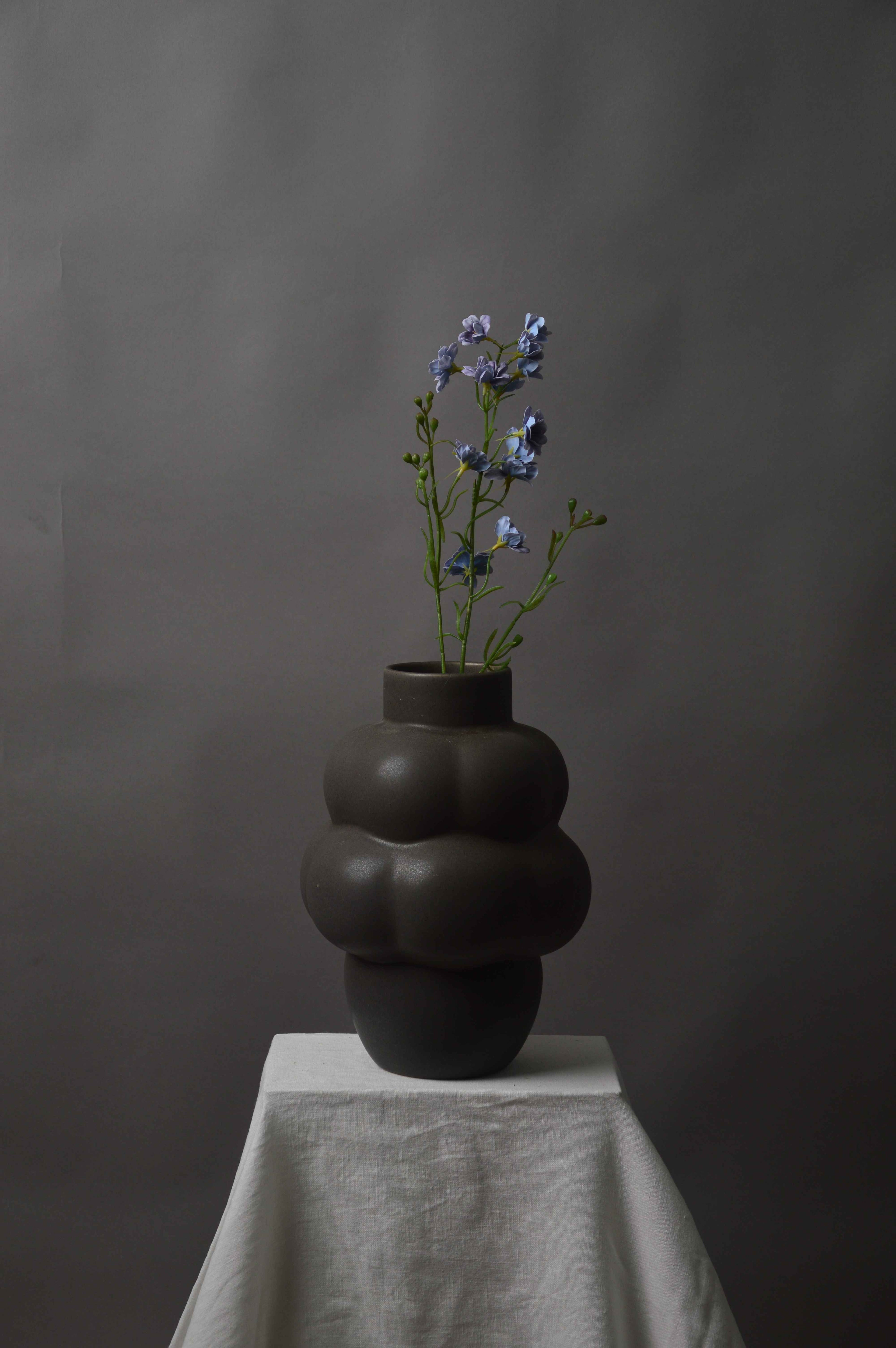Delphinium