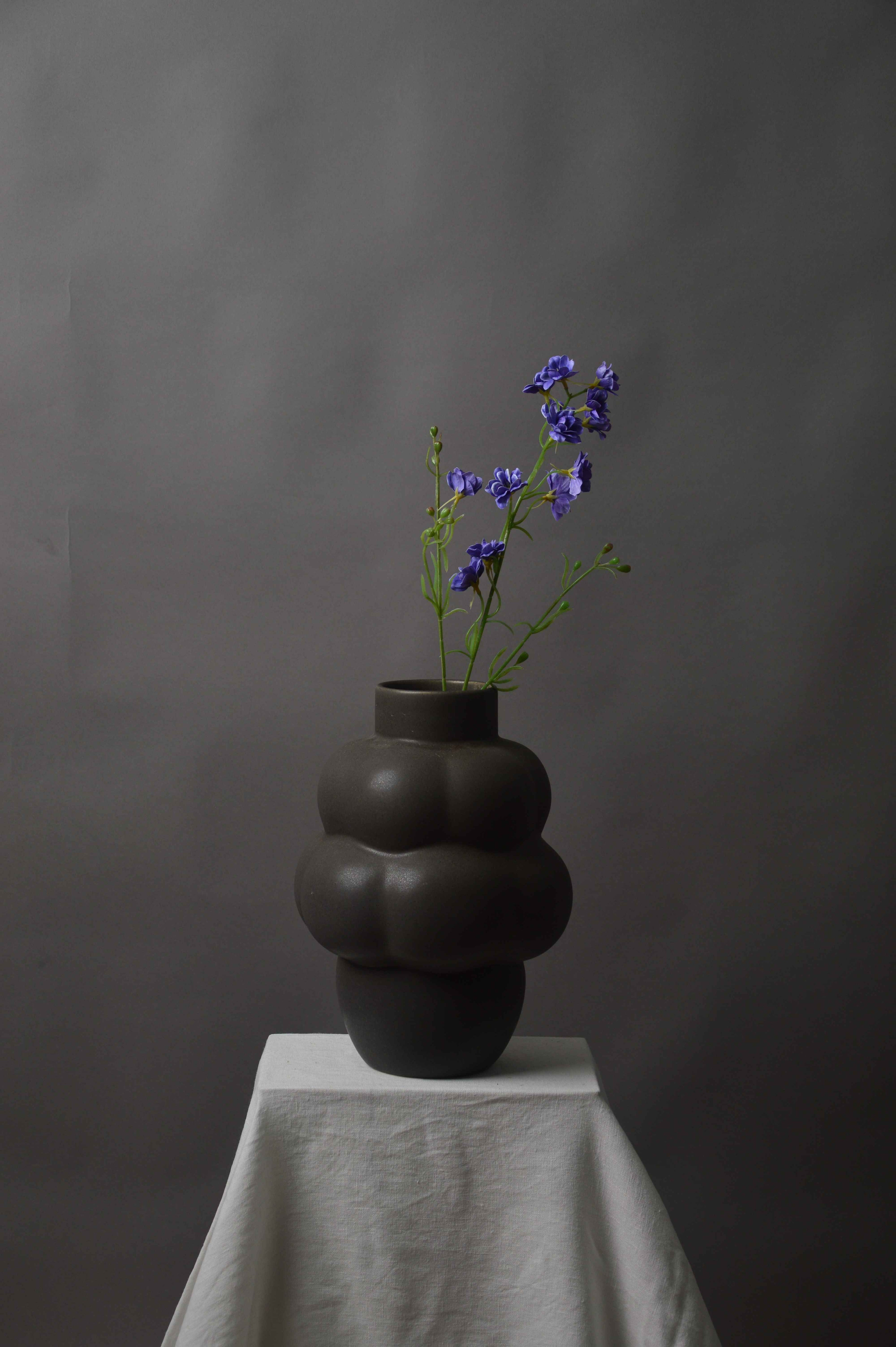 Delphinium