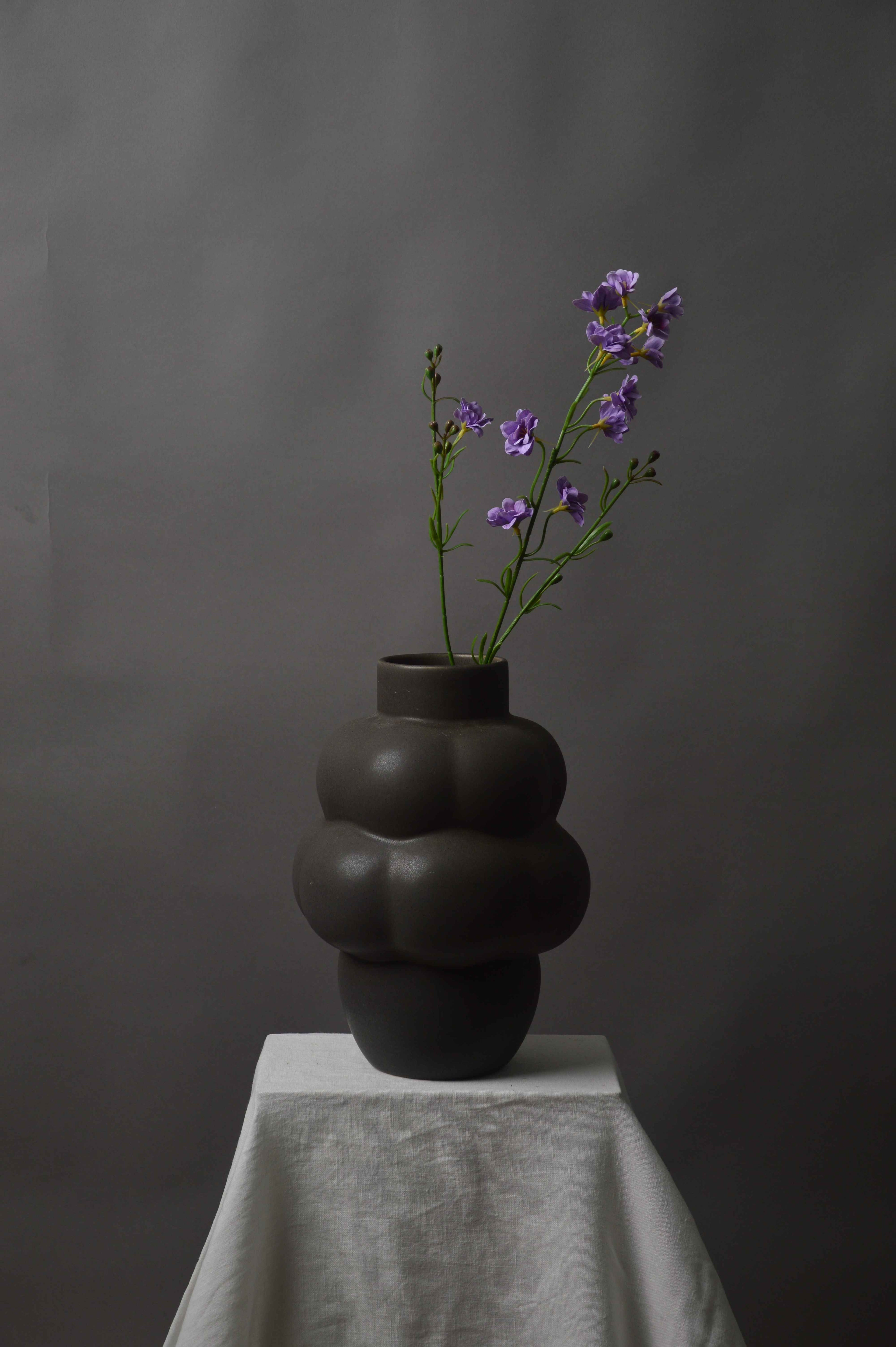 Delphinium