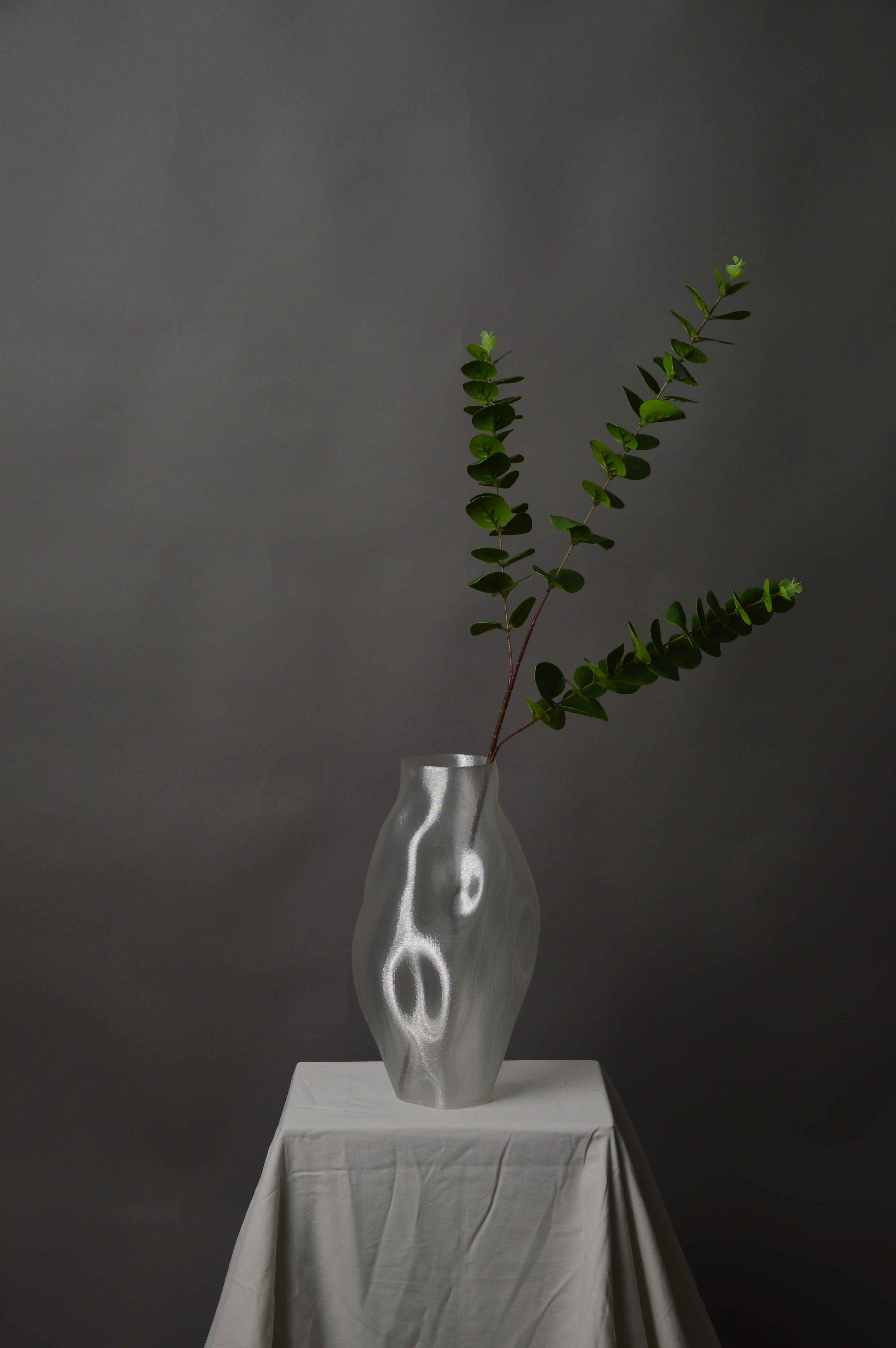 Eukalyptus