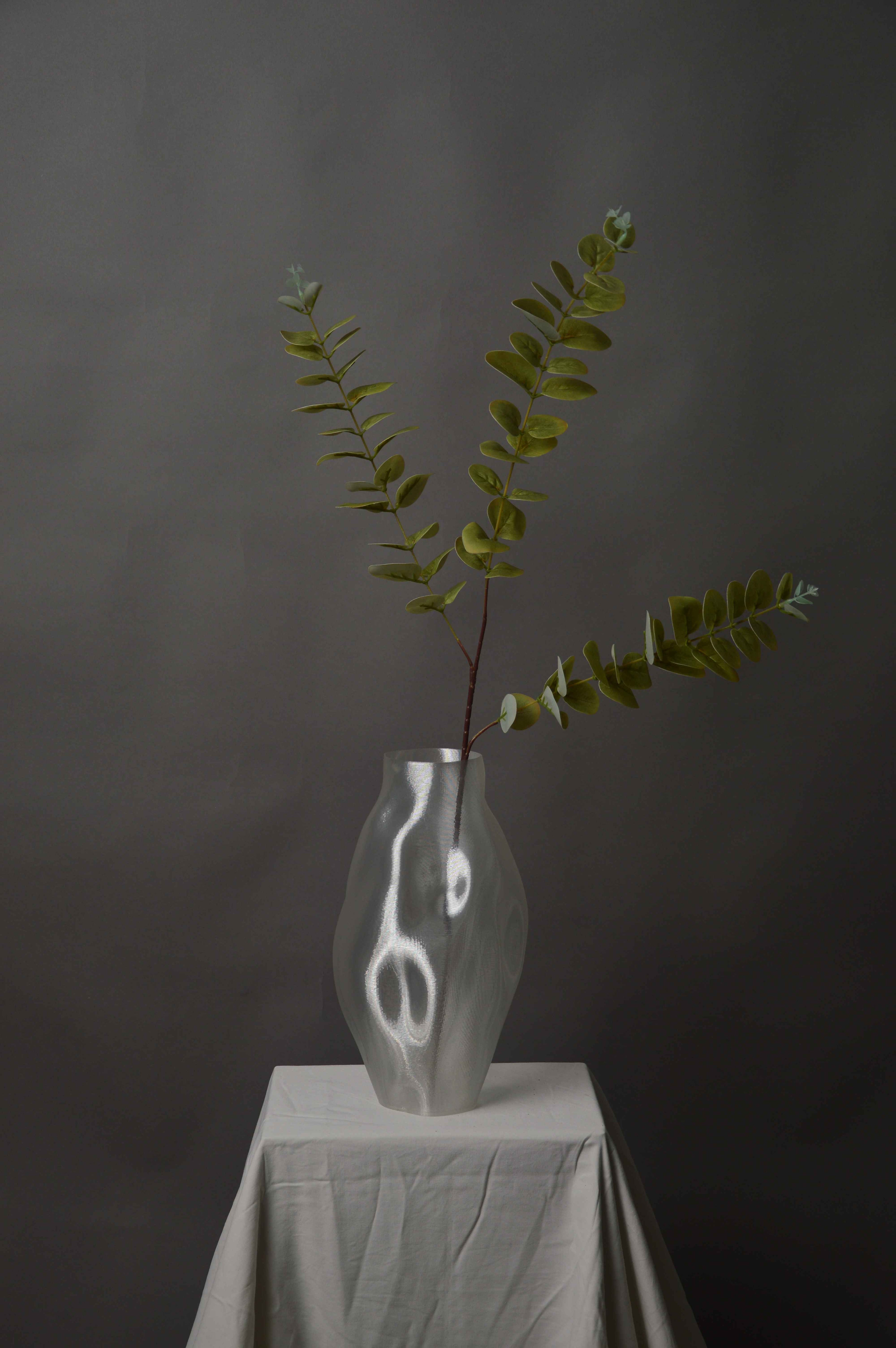 Eukalyptus