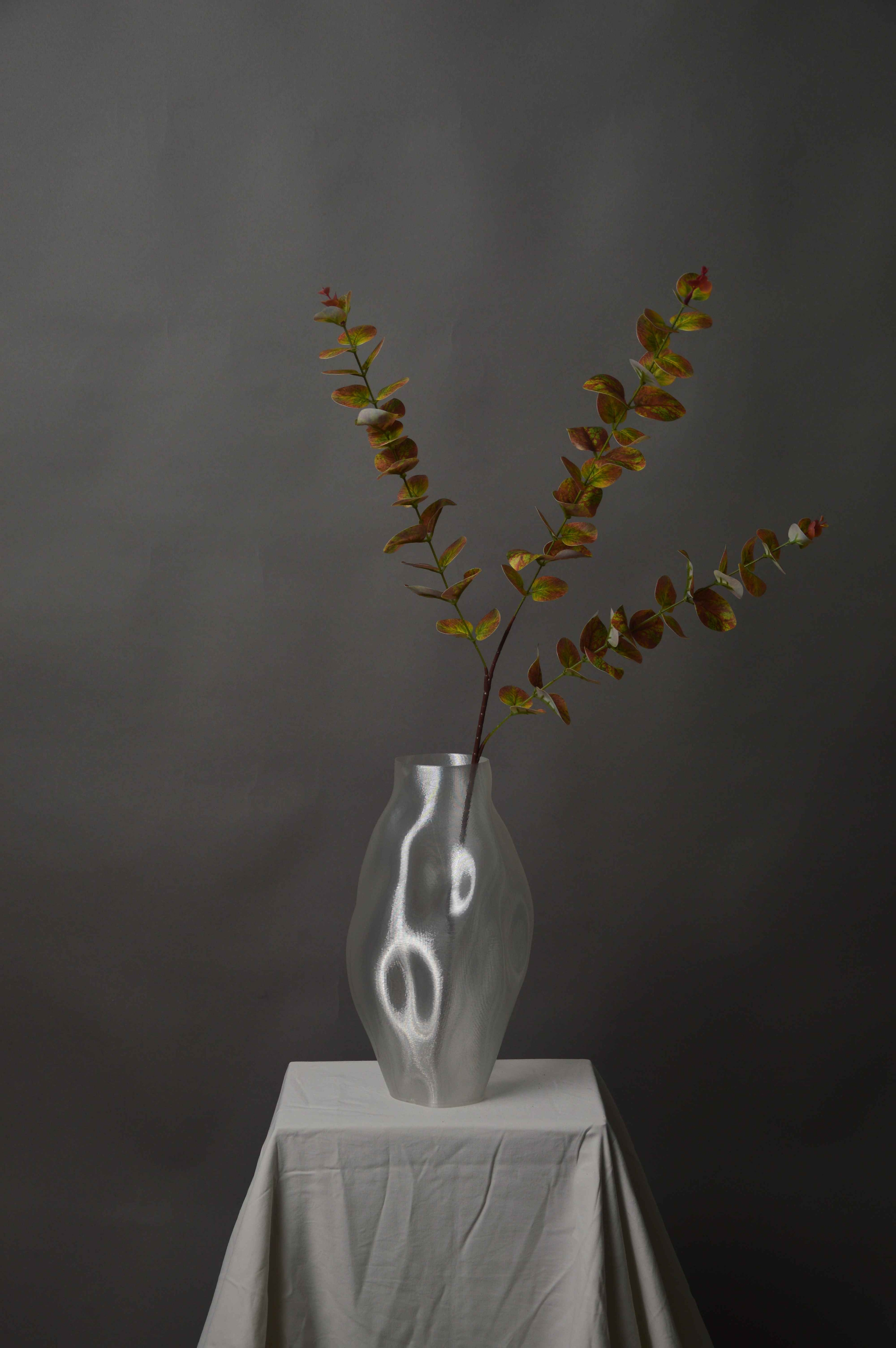 Eukalyptus