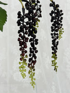 Kunstig hængende sukkulent