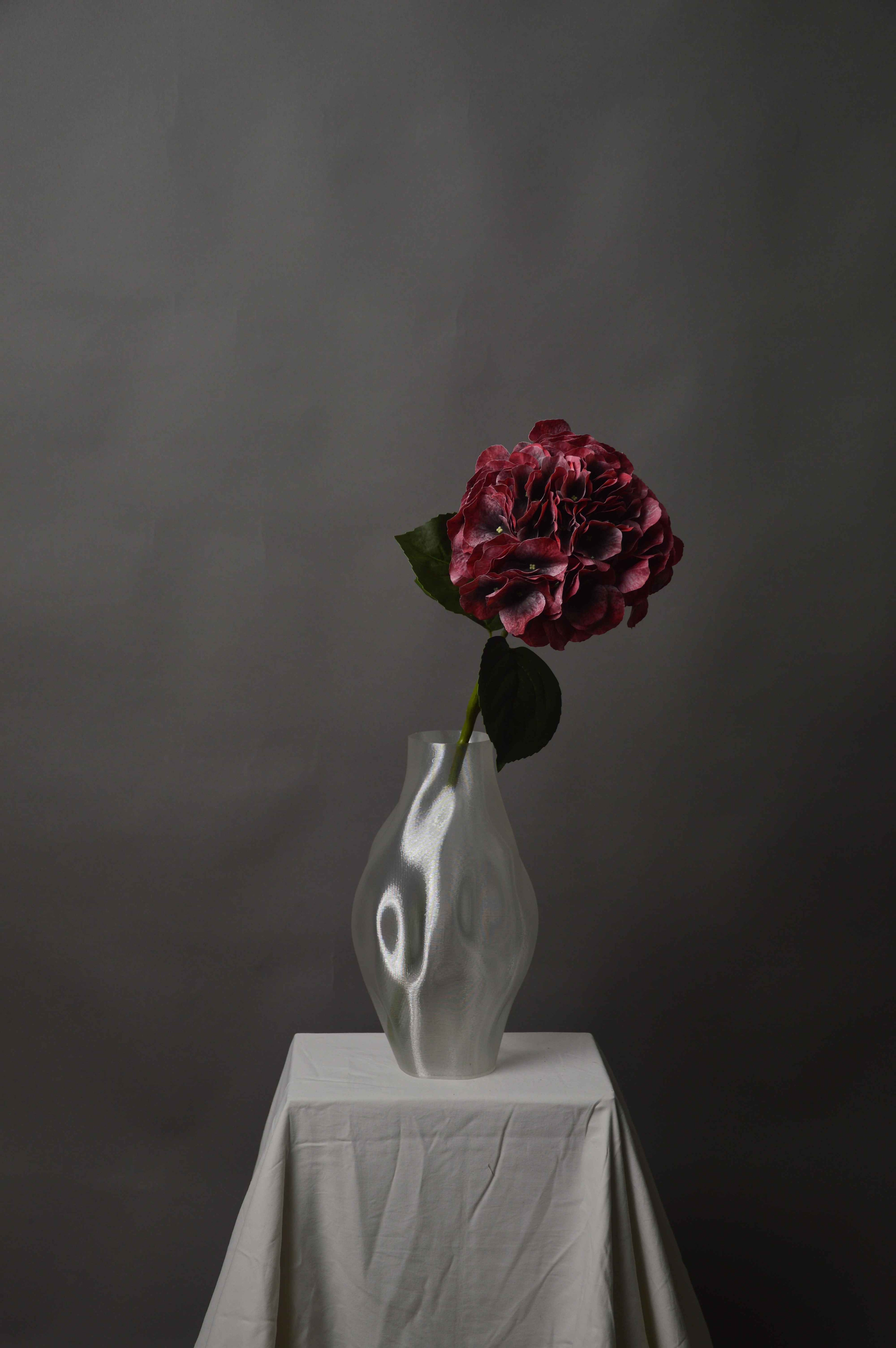 Hortensia