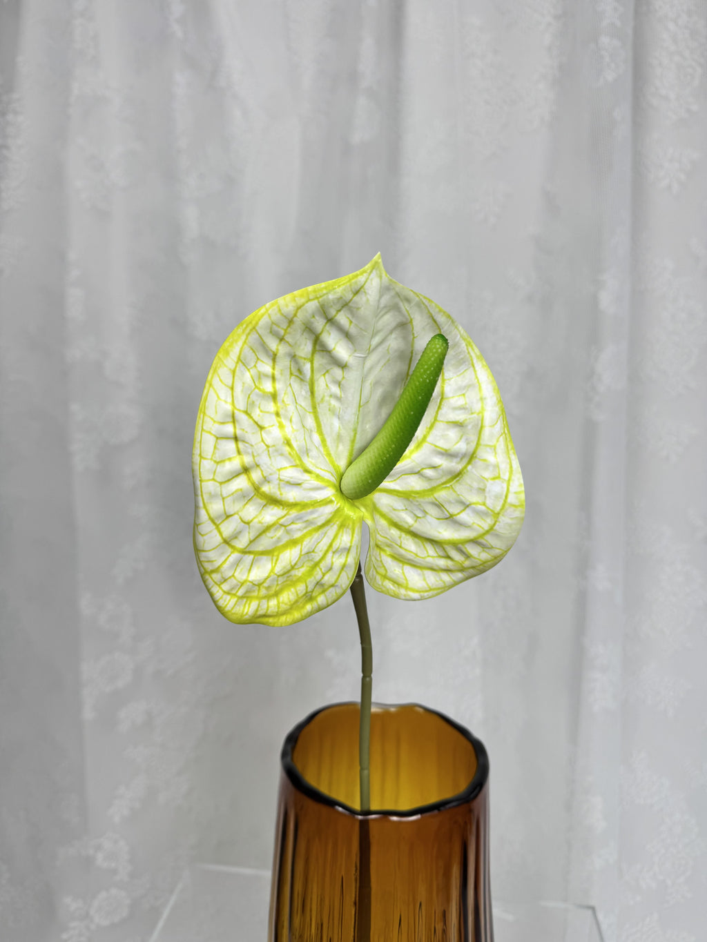 Stor anthurium