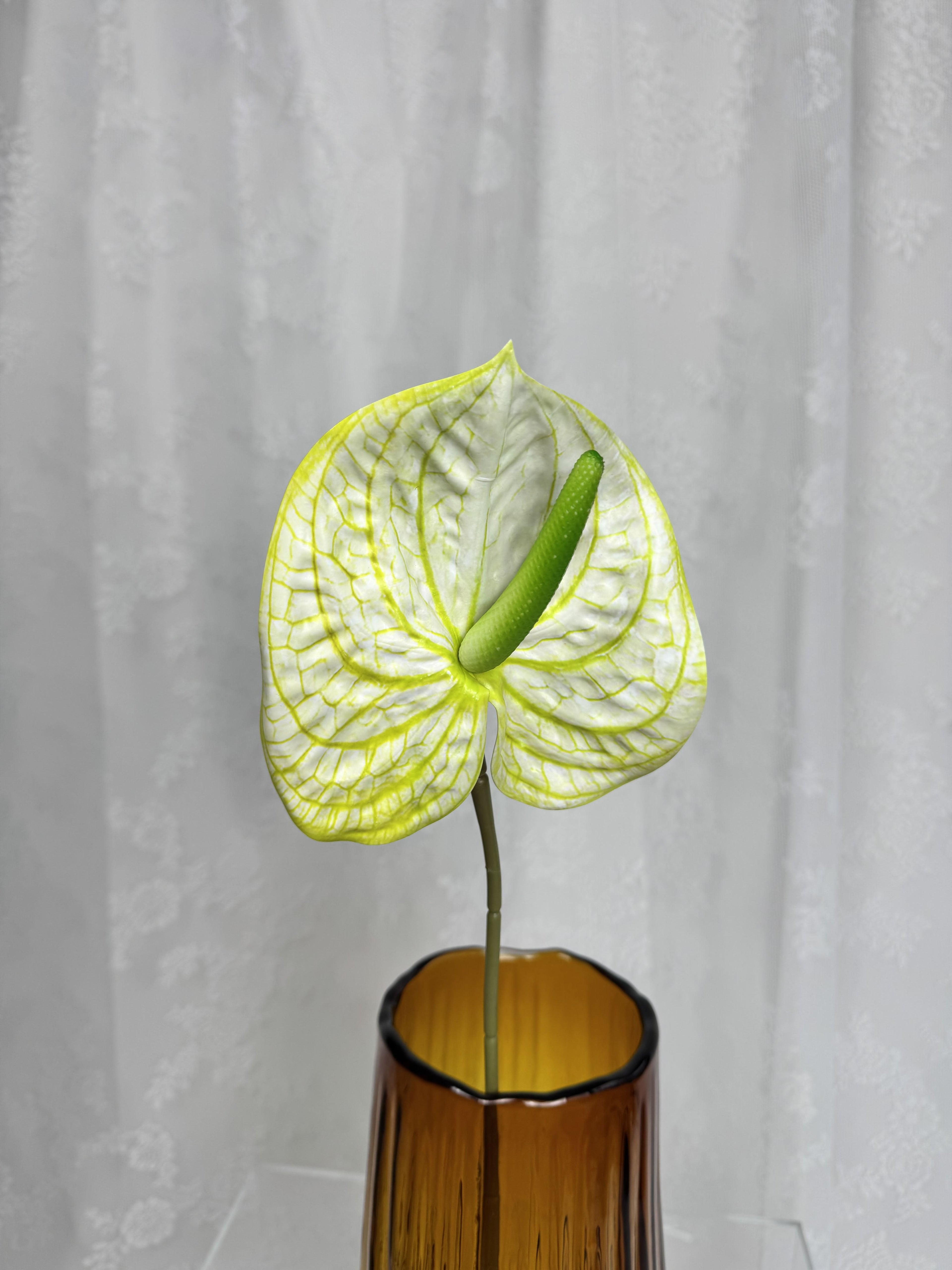 Stor anthurium