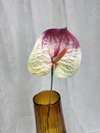 Stor anthurium