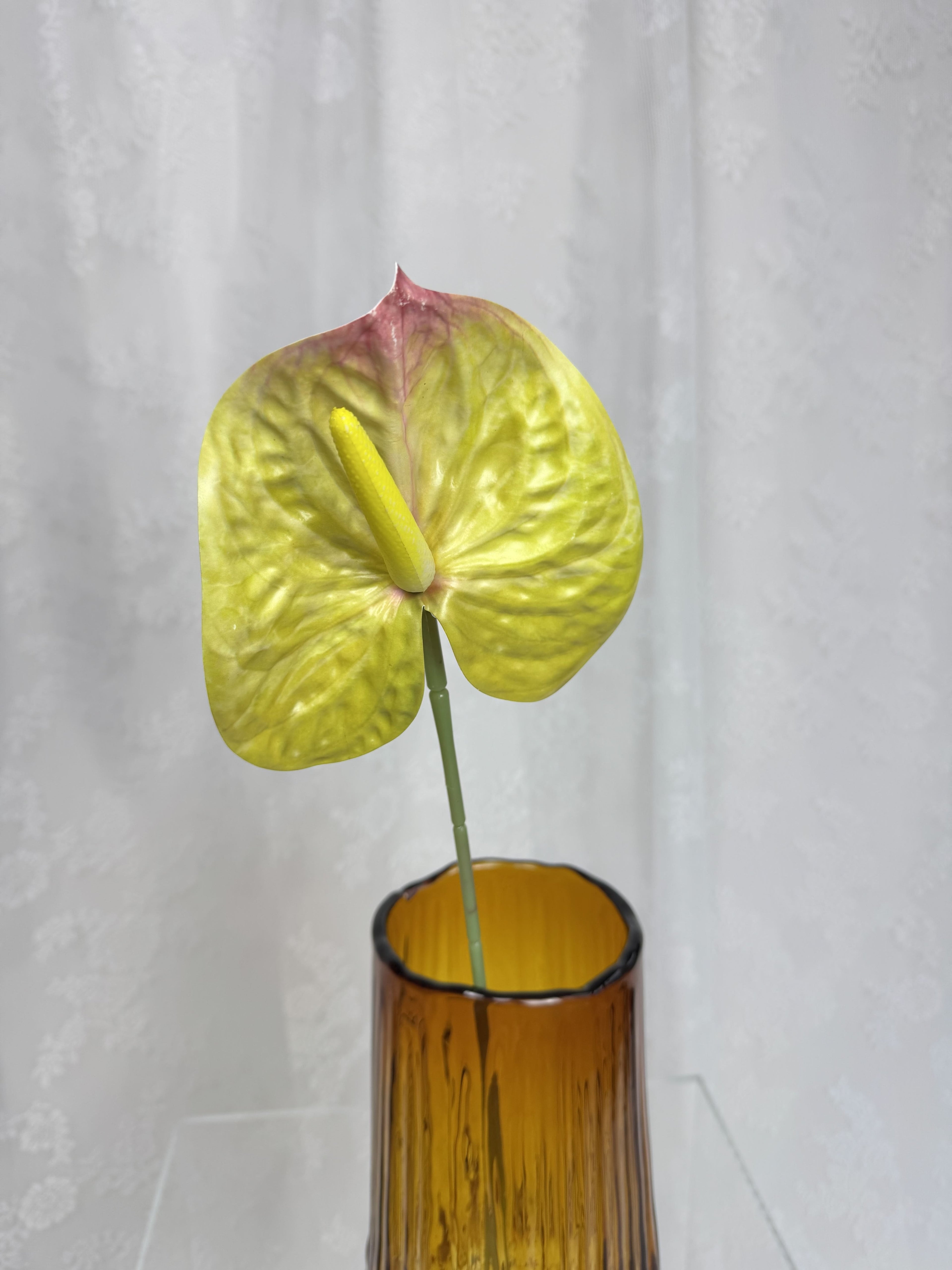 Stor anthurium