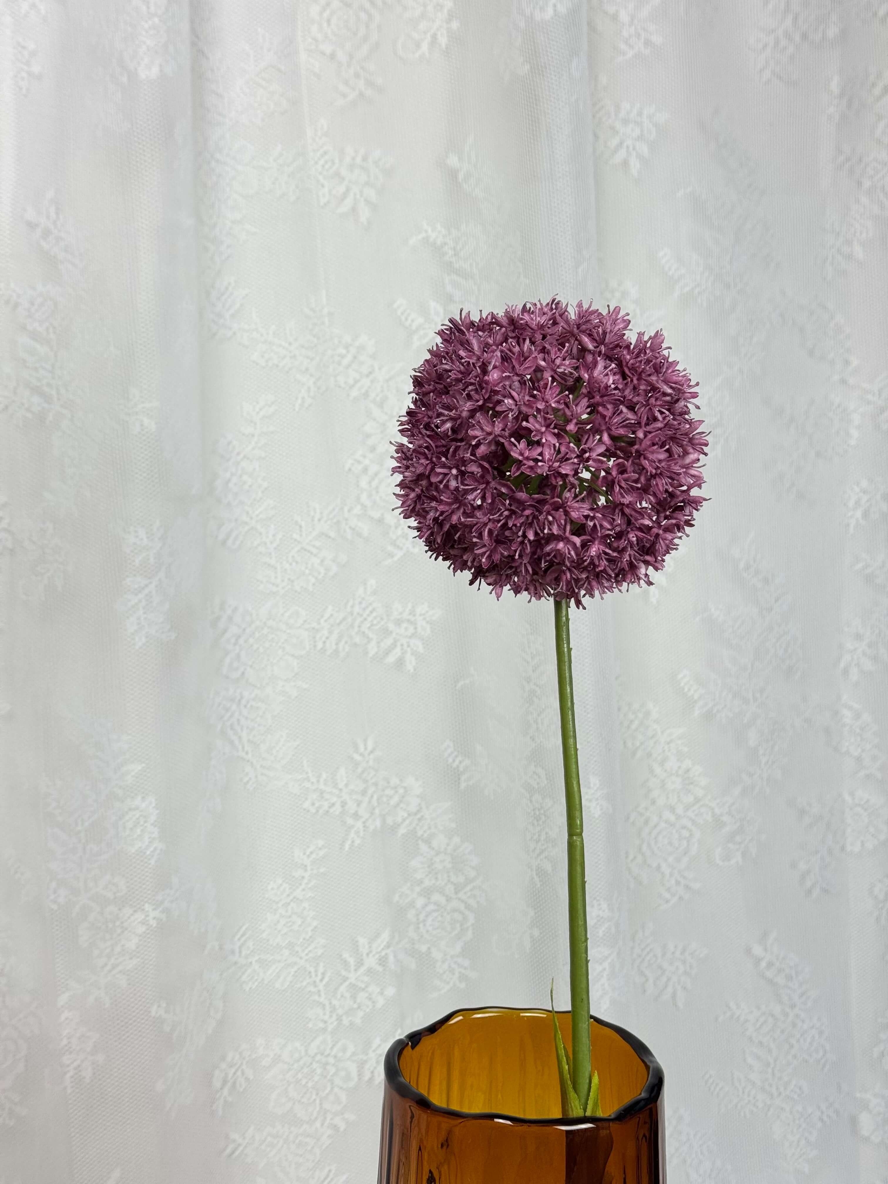 Allium