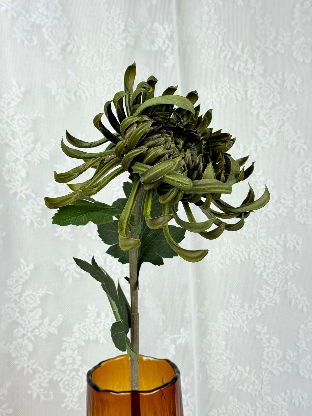 Stor chrysanthemum