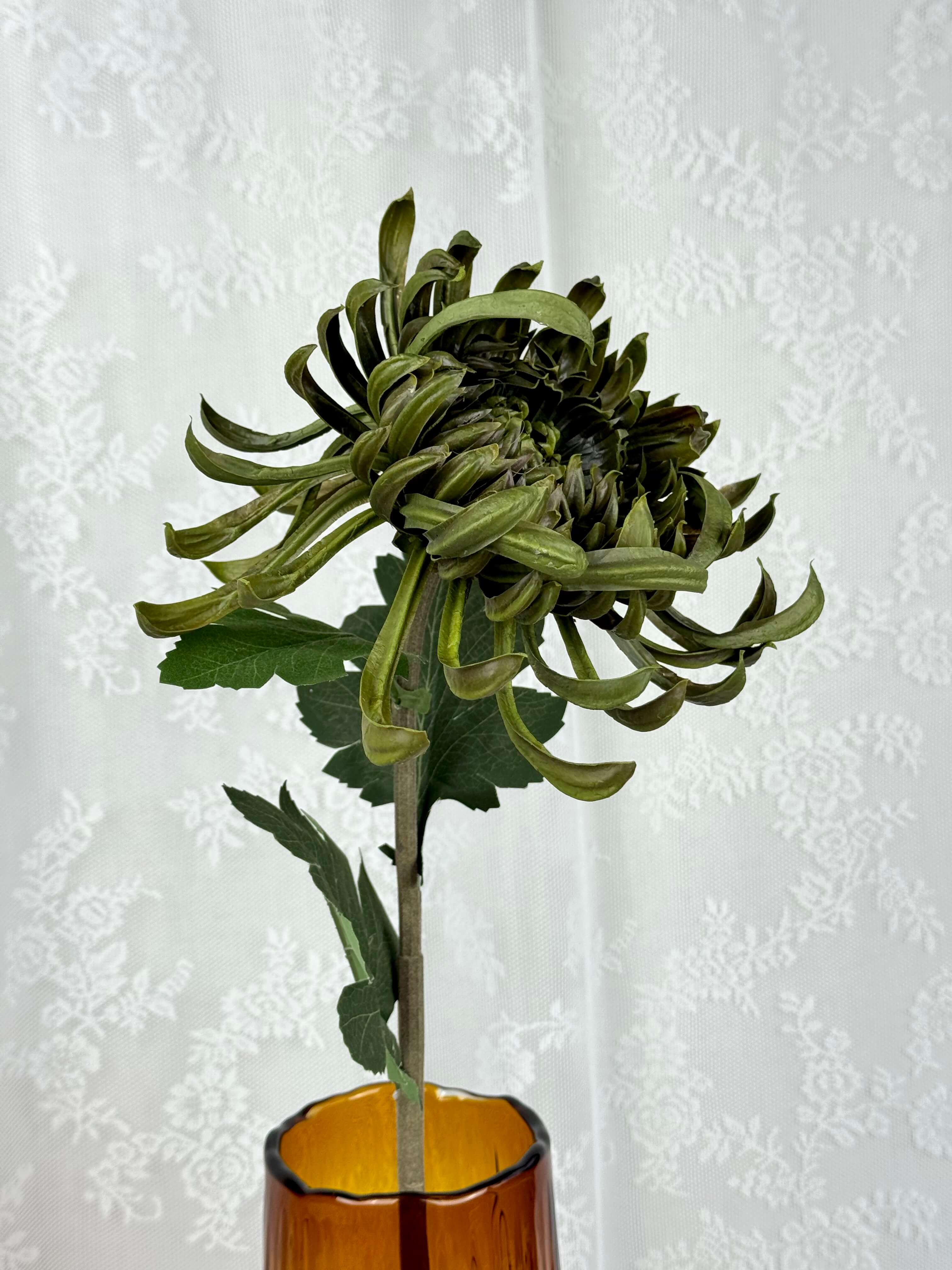 Stor chrysanthemum