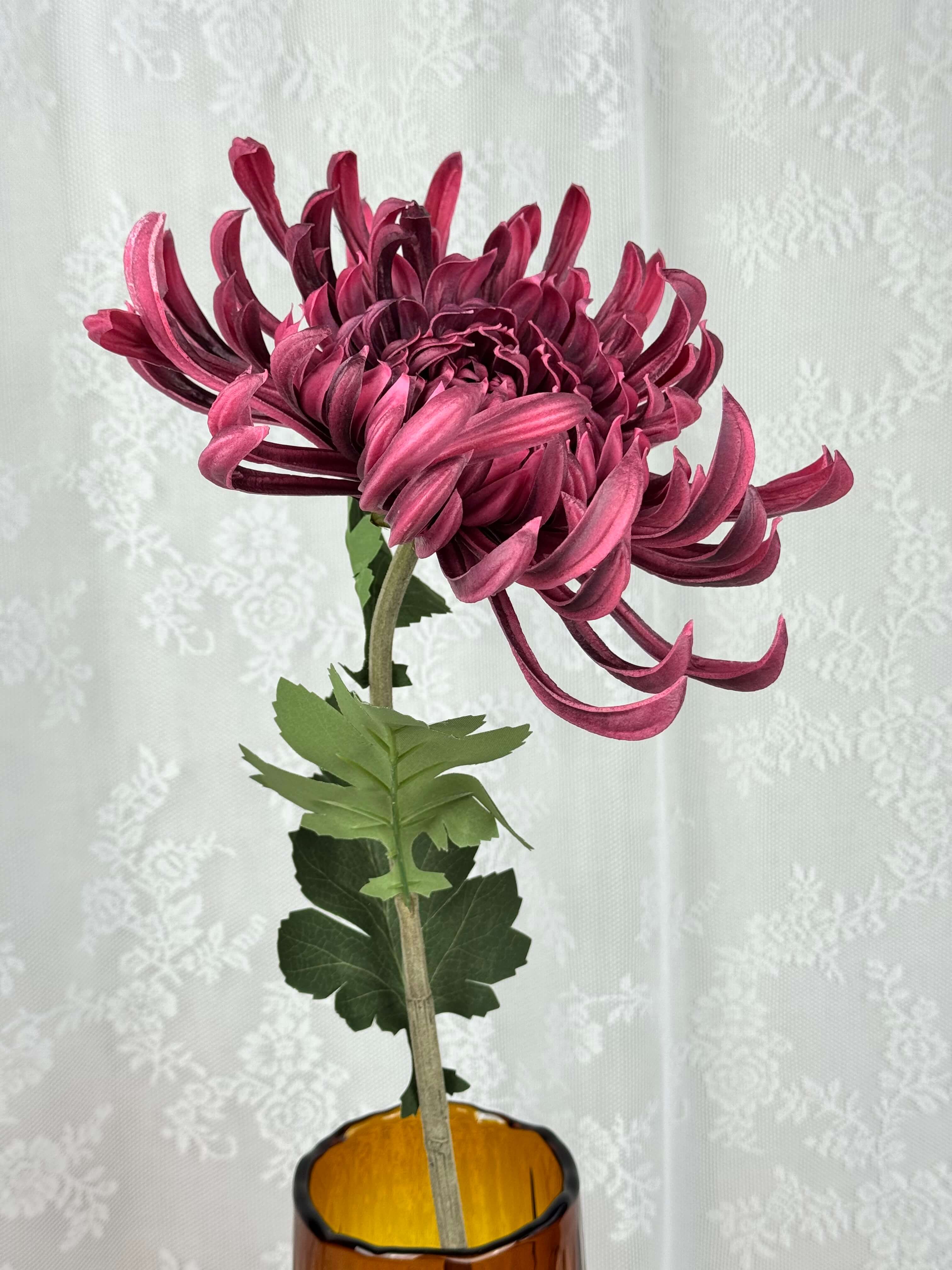 Stor chrysanthemum