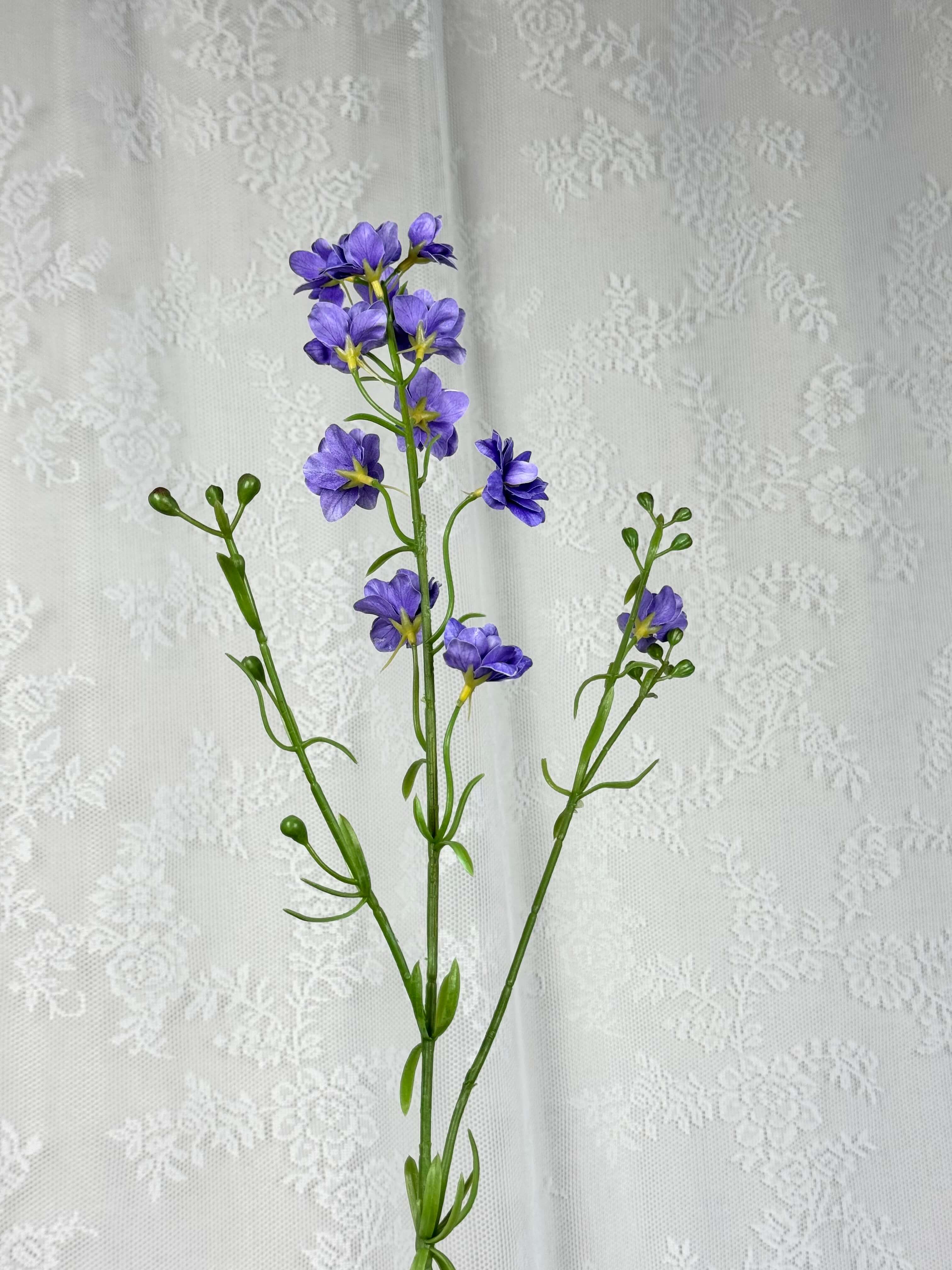 Delphinium
