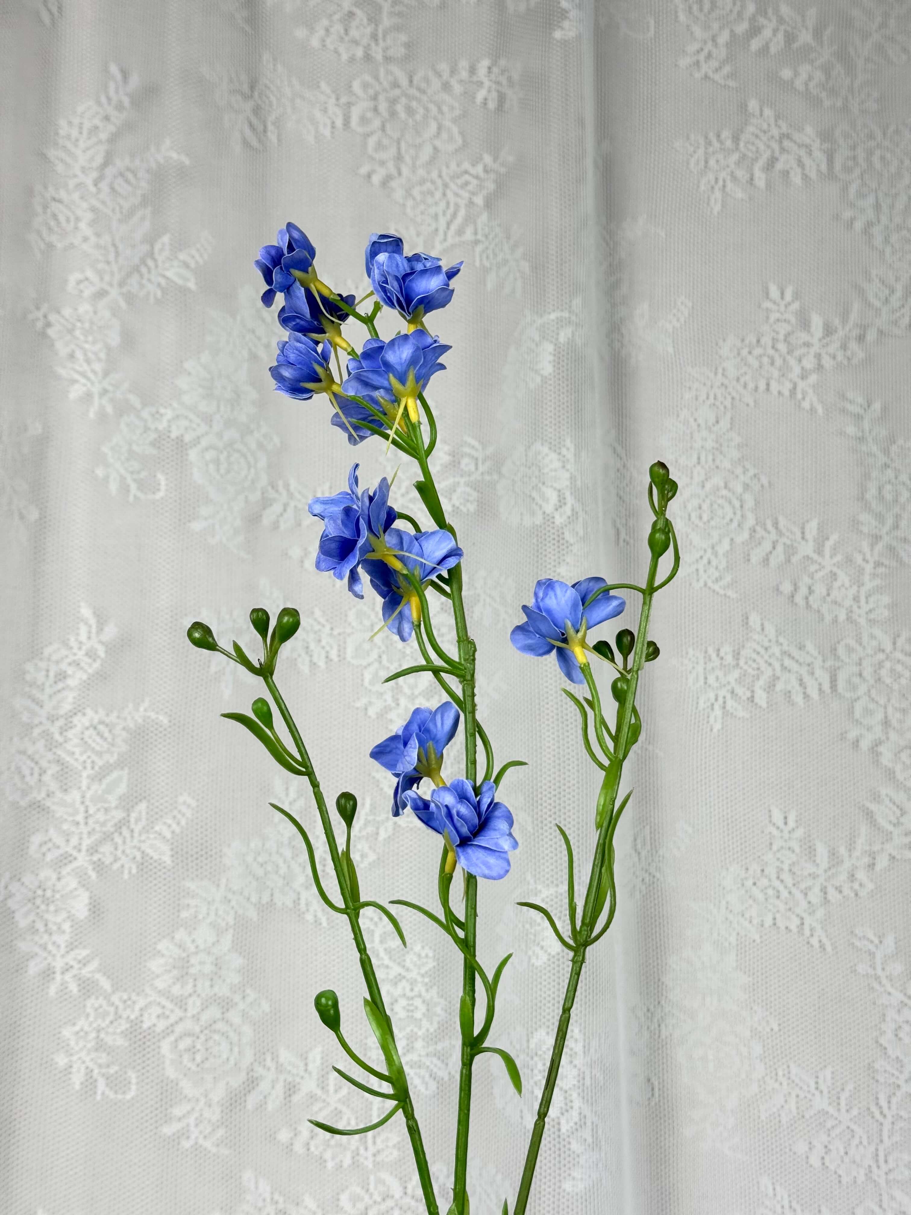 Delphinium