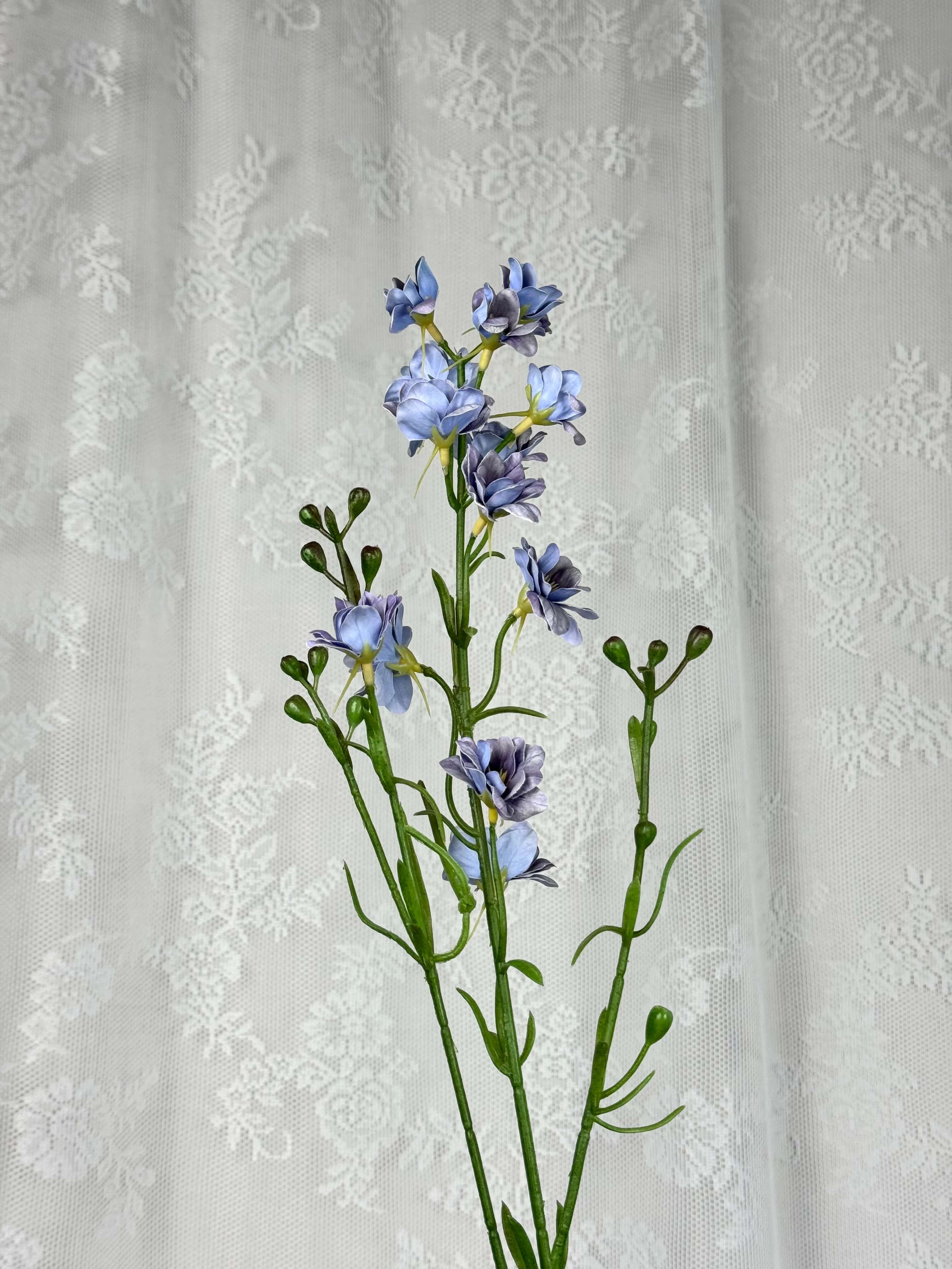 Delphinium