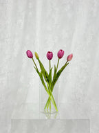 Tulipaner - lyslilla