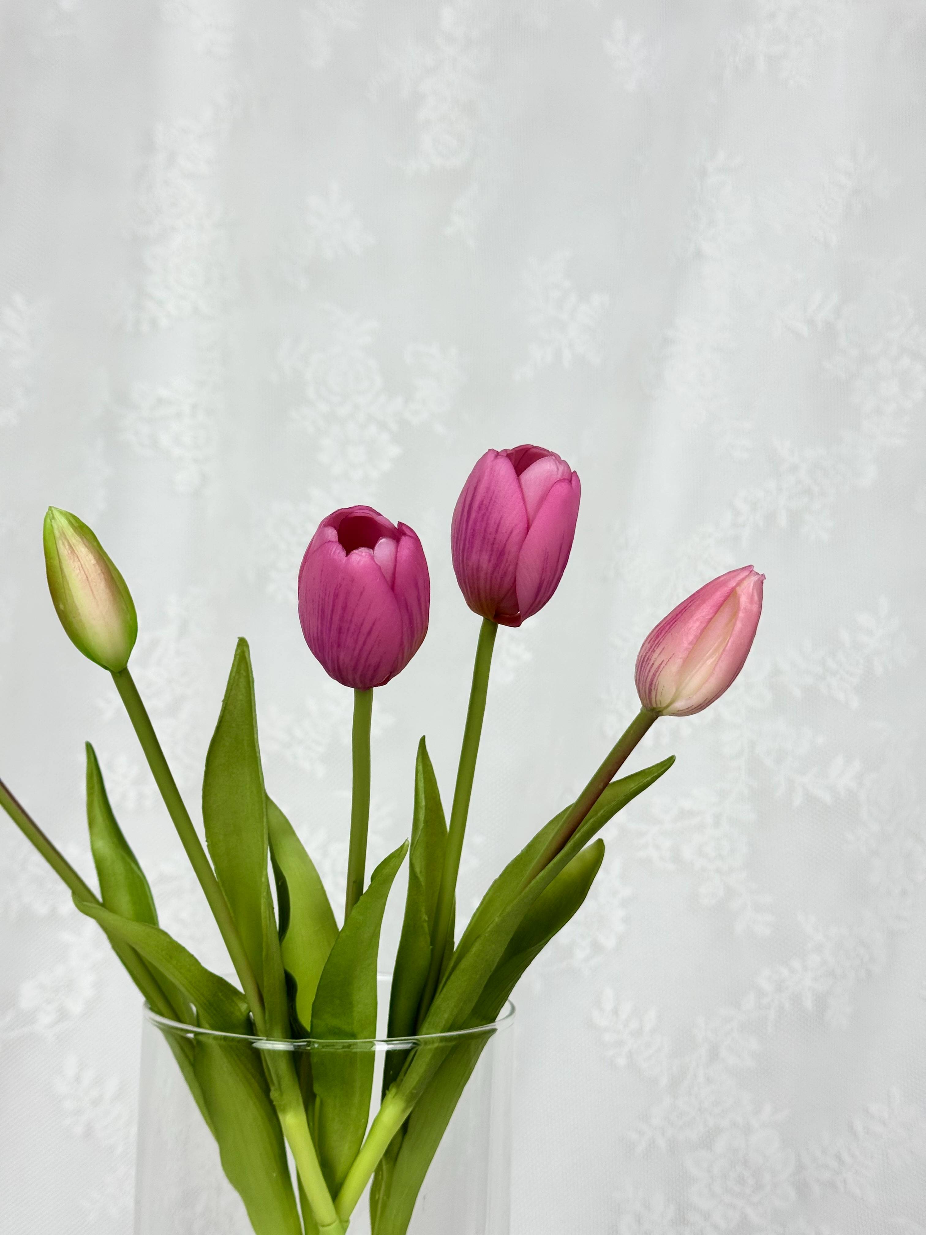 Tulipaner - lyslilla