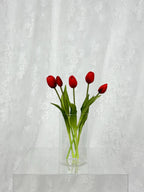 Tulipaner - rød