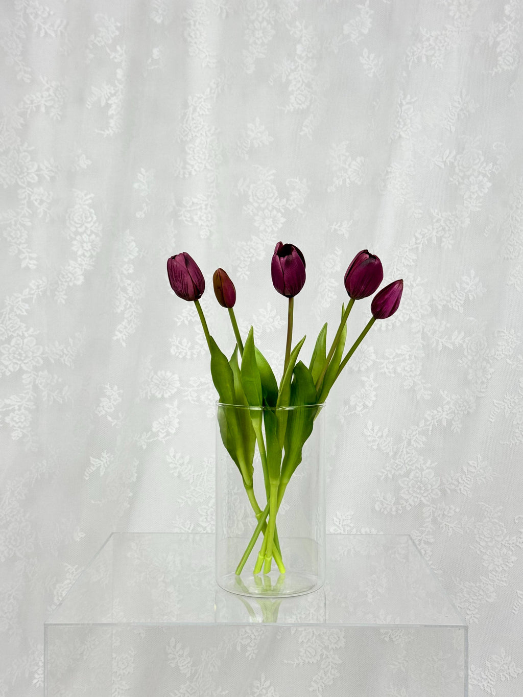 Tulipaner - mørklilla