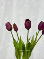 Tulipaner - mørklilla