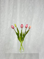 Tulipaner - lyserød