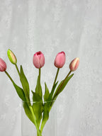 Tulipaner - lyserød