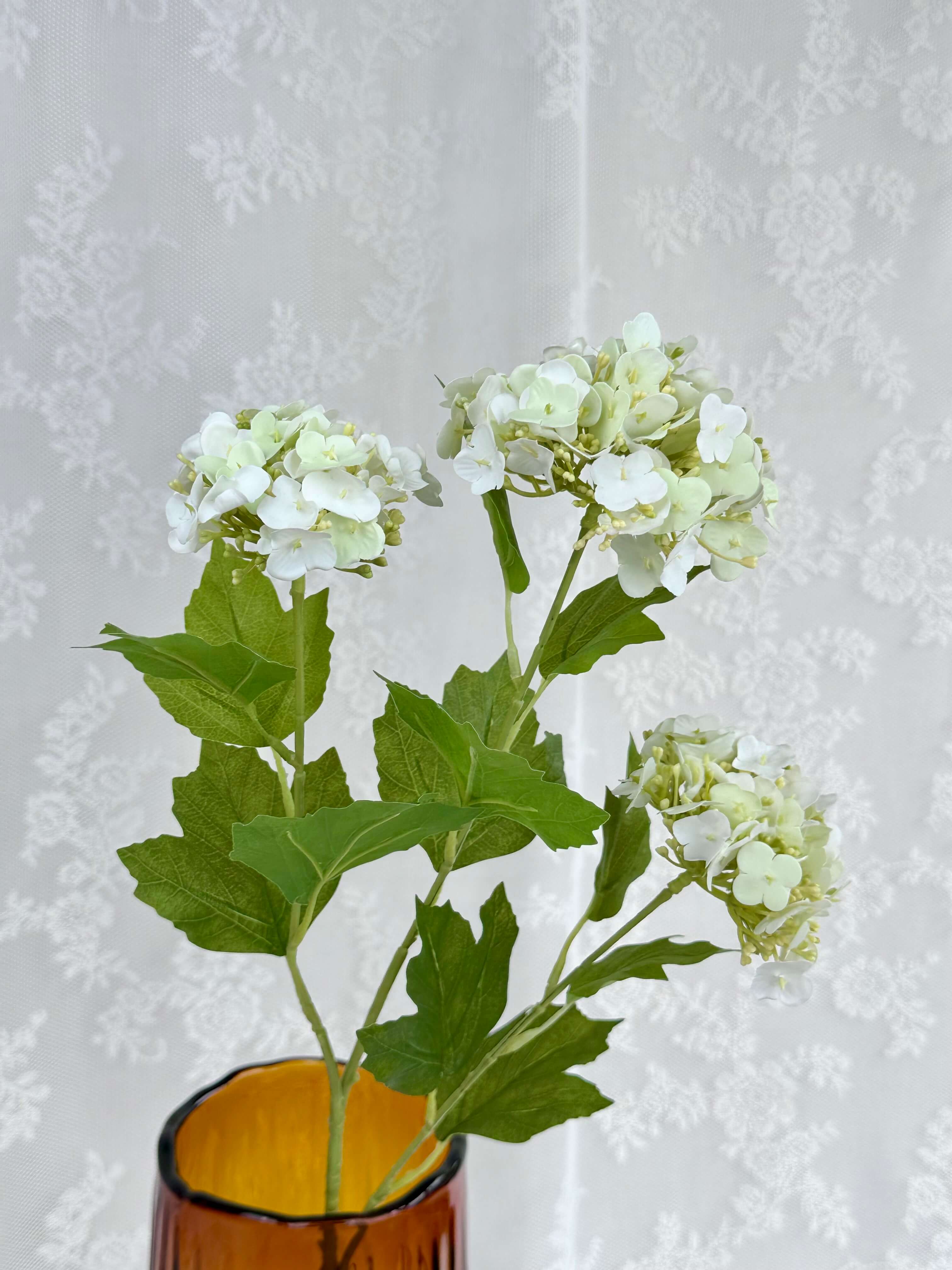 Have hortensia